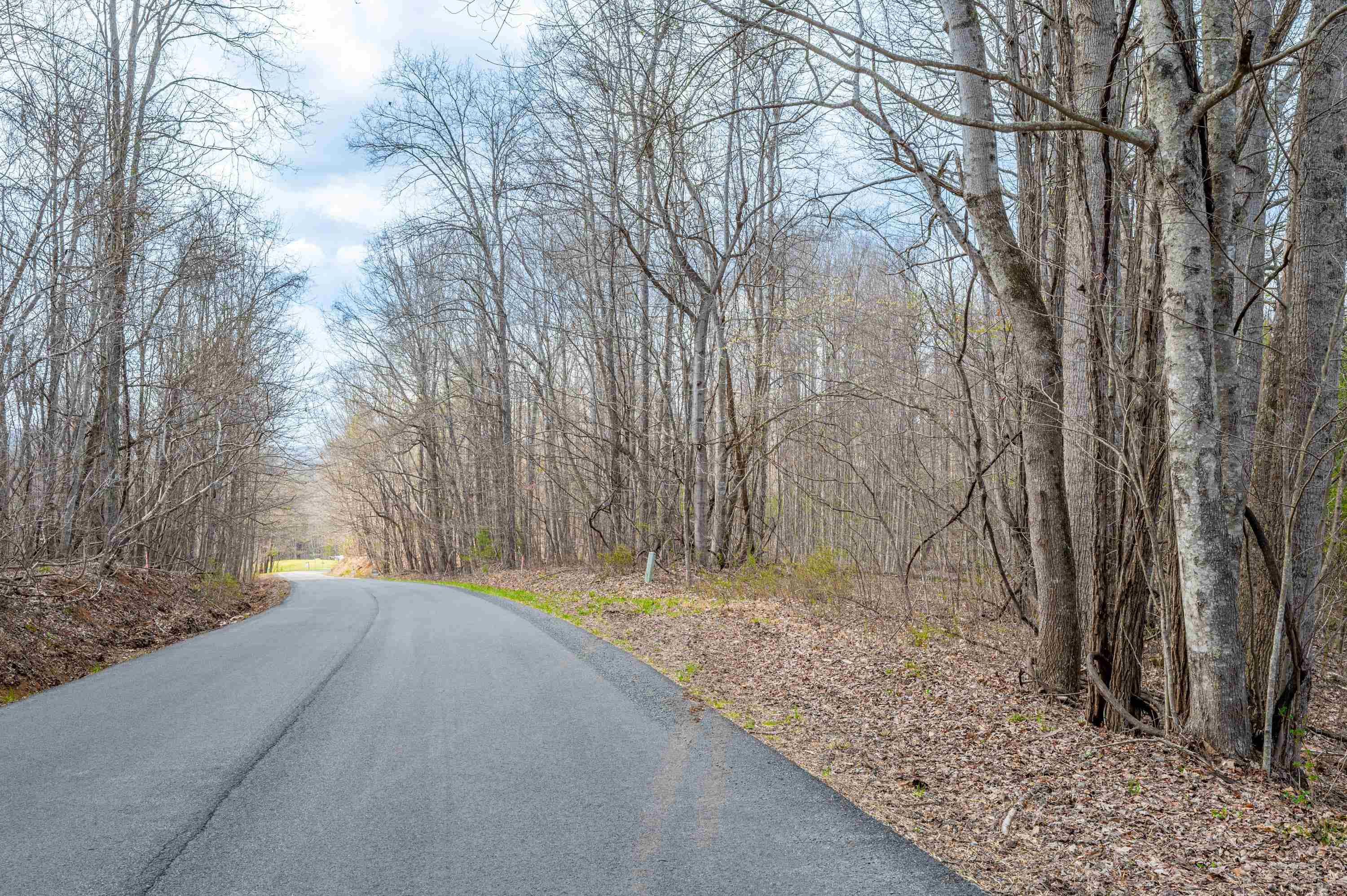 2301 Buffalo Mountain Road SW Willis VA 24380