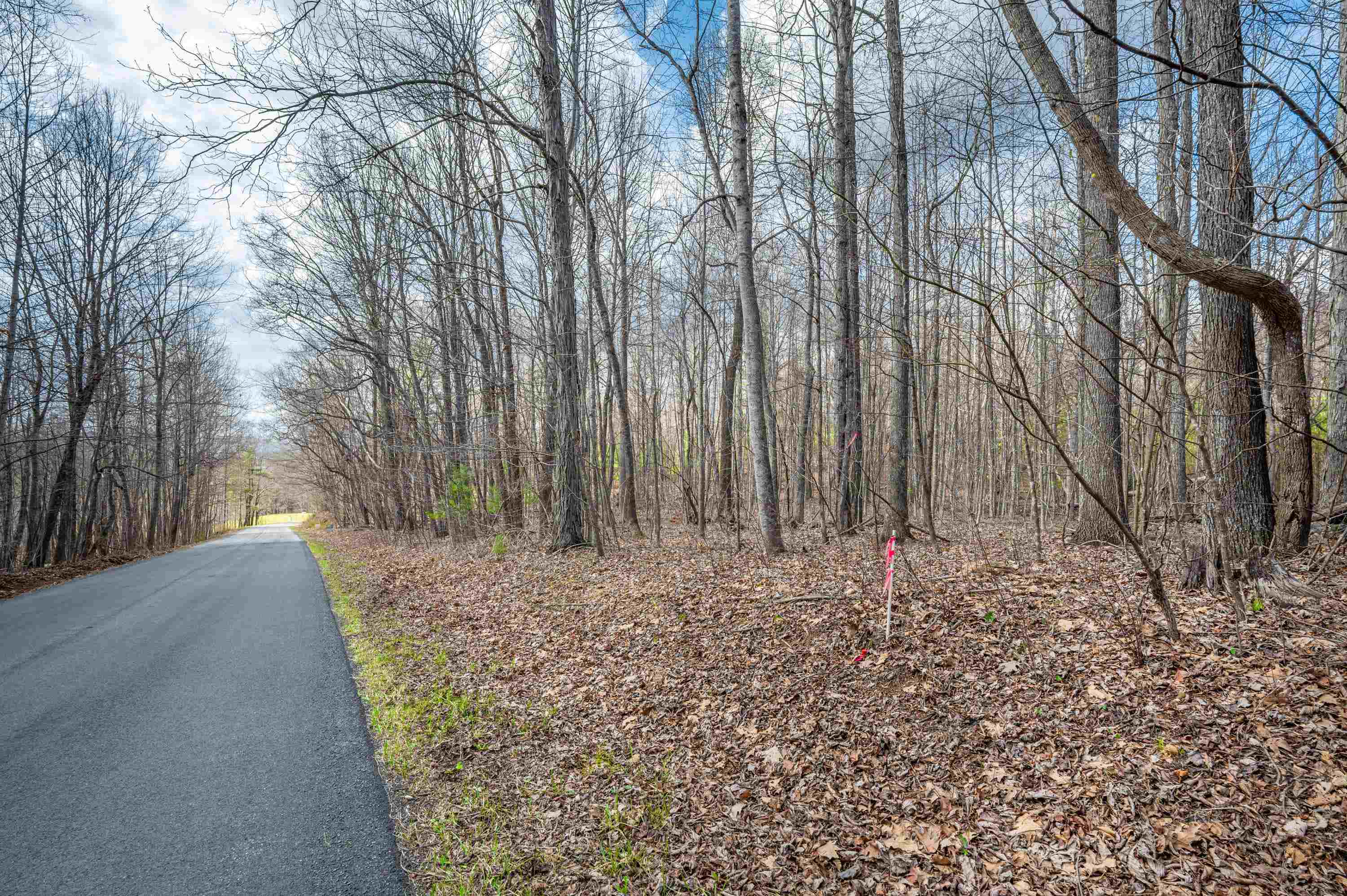 2301 Buffalo Mountain Road SW Willis VA 24380