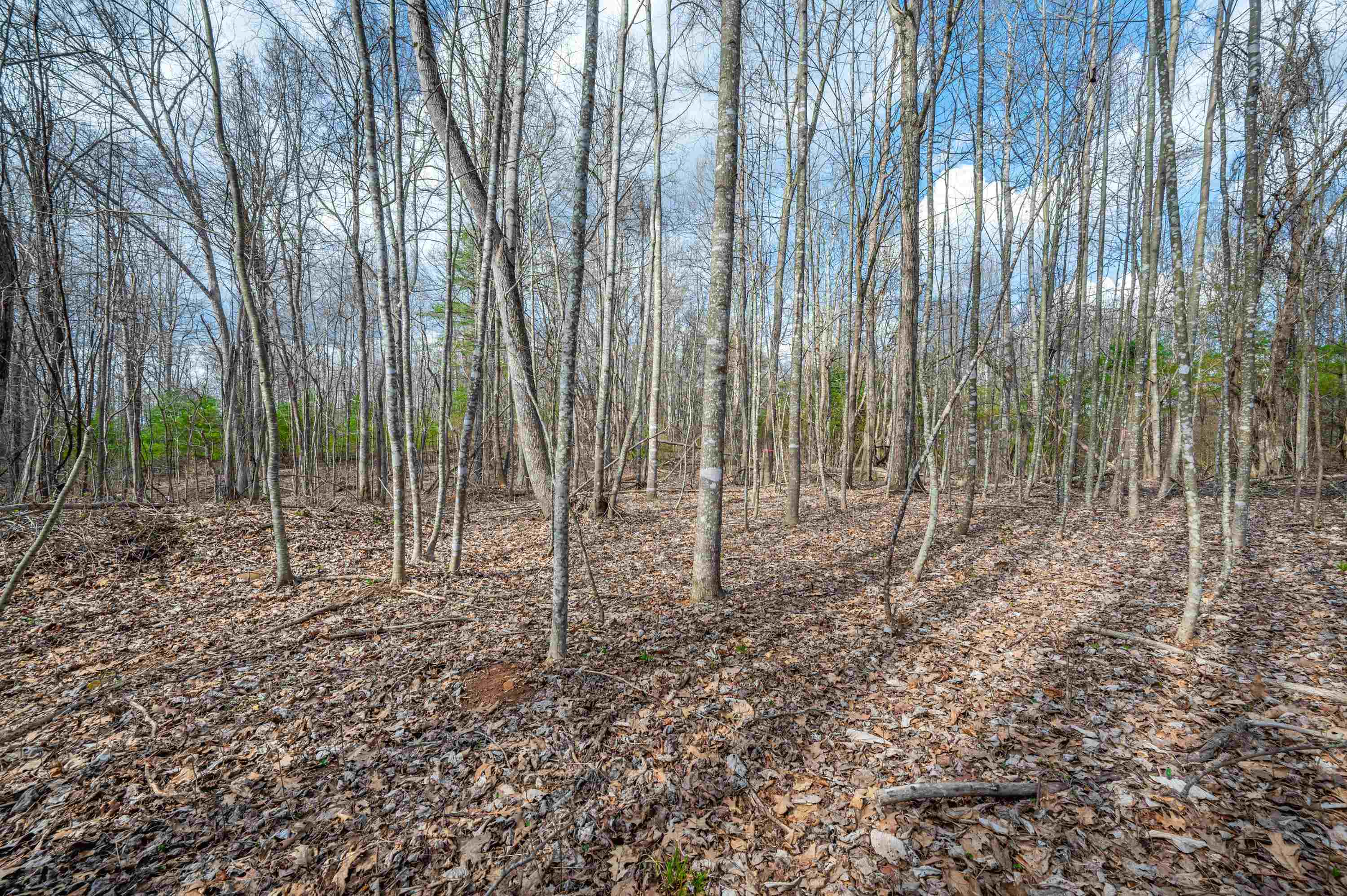 2301 Buffalo Mountain Road SW Willis VA 24380