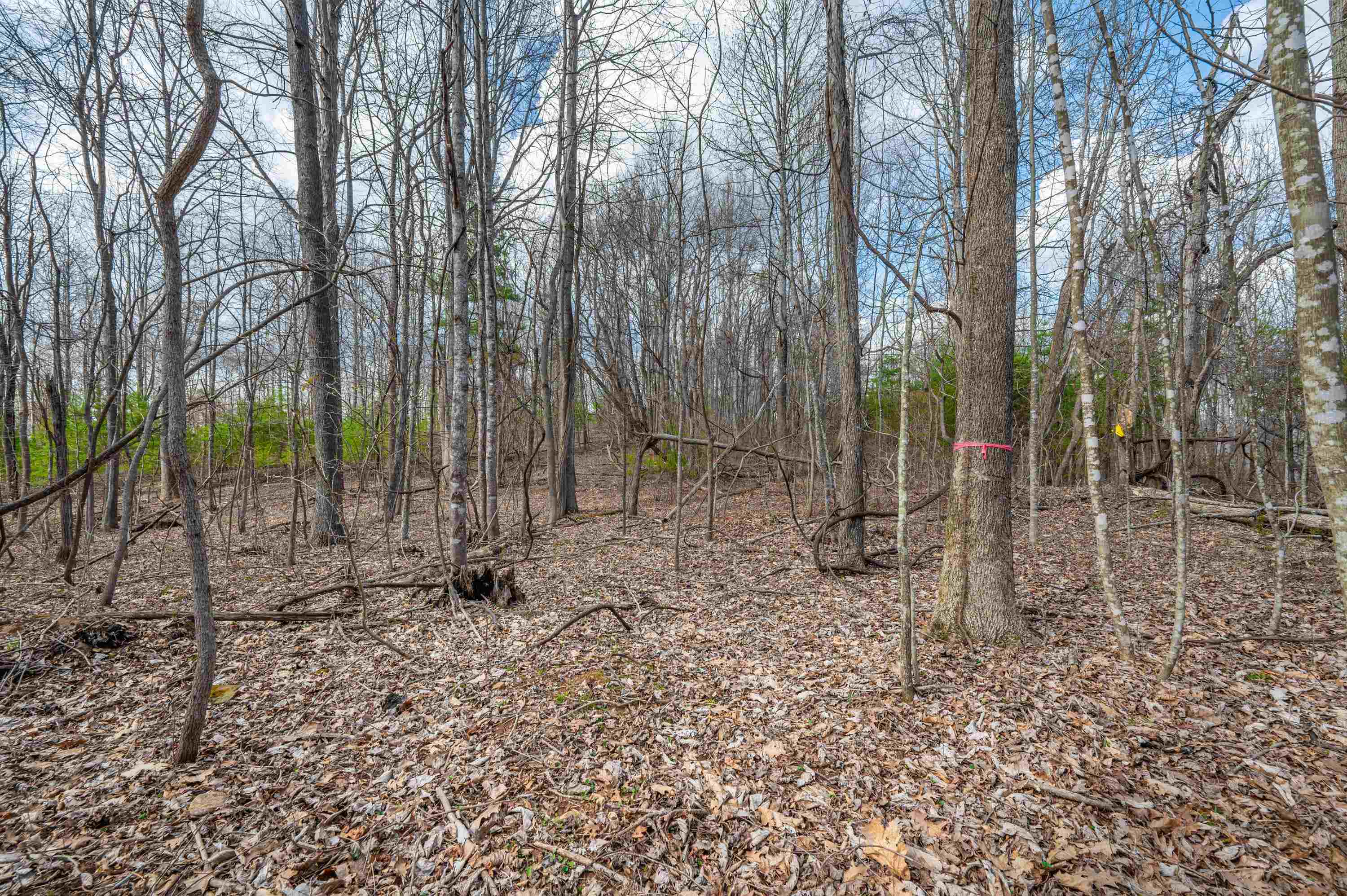 2301 Buffalo Mountain Road SW Willis VA 24380