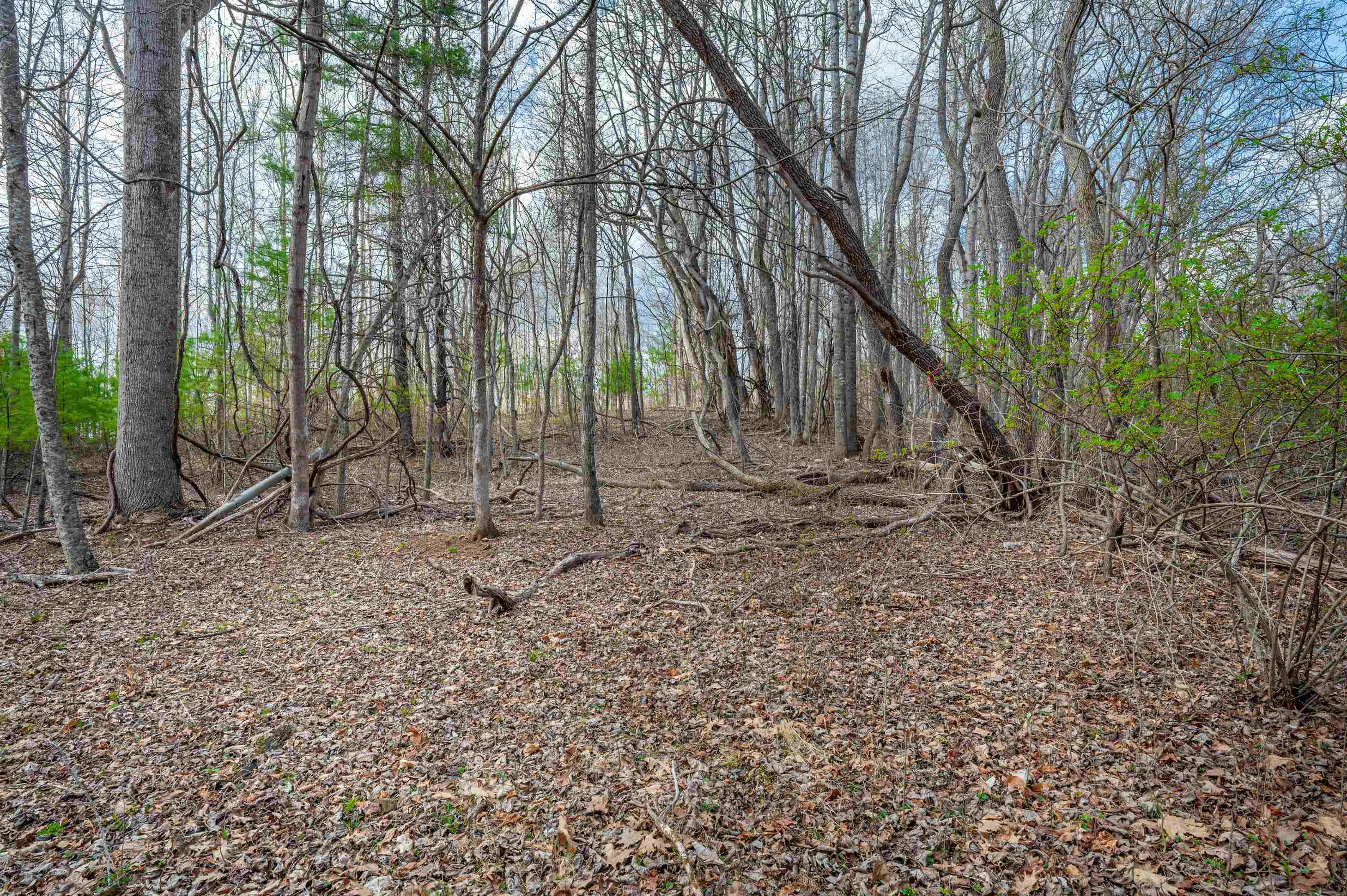 2301 Buffalo Mountain Road SW Willis VA 24380