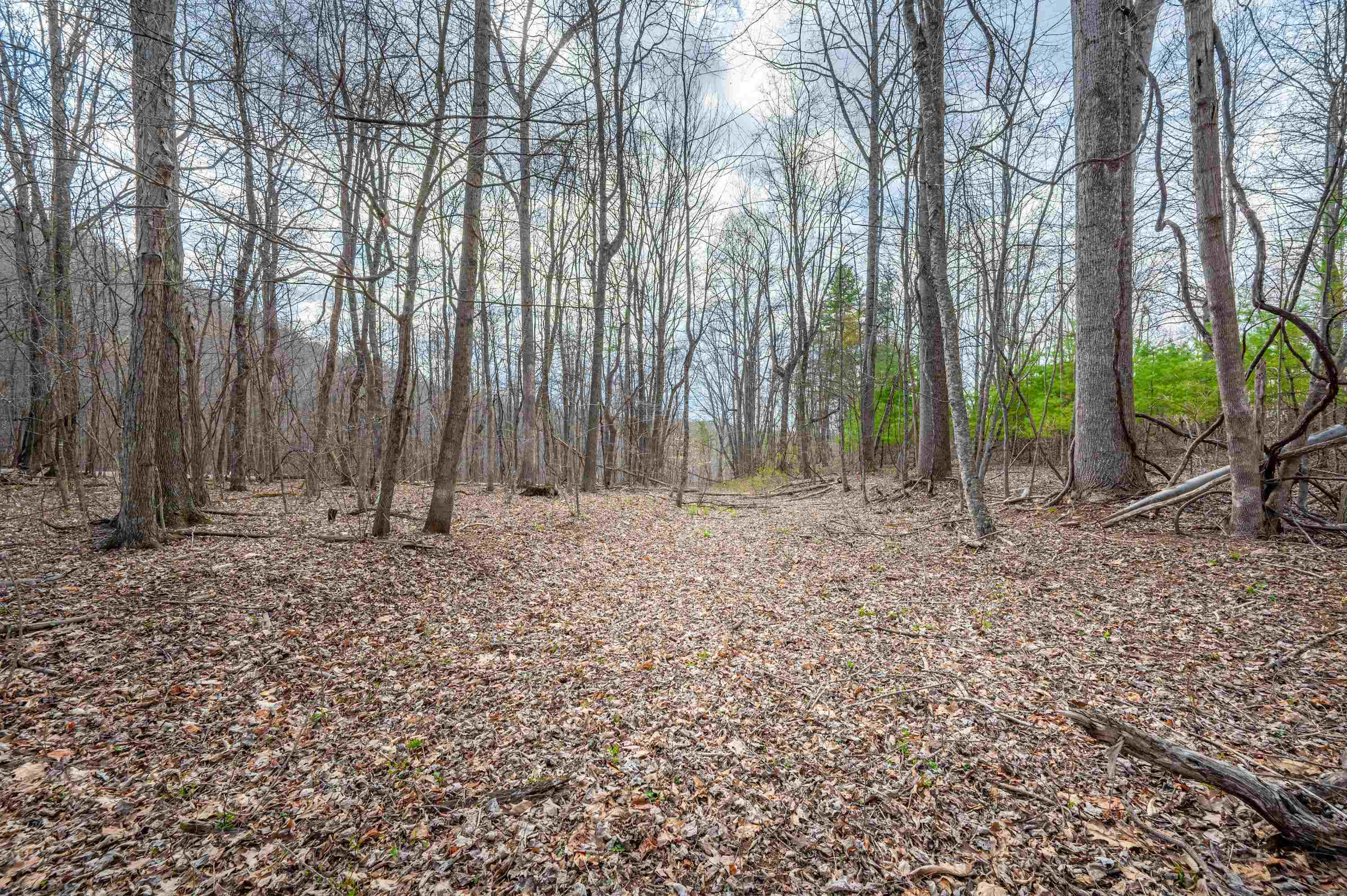 2301 Buffalo Mountain Road SW Willis VA 24380