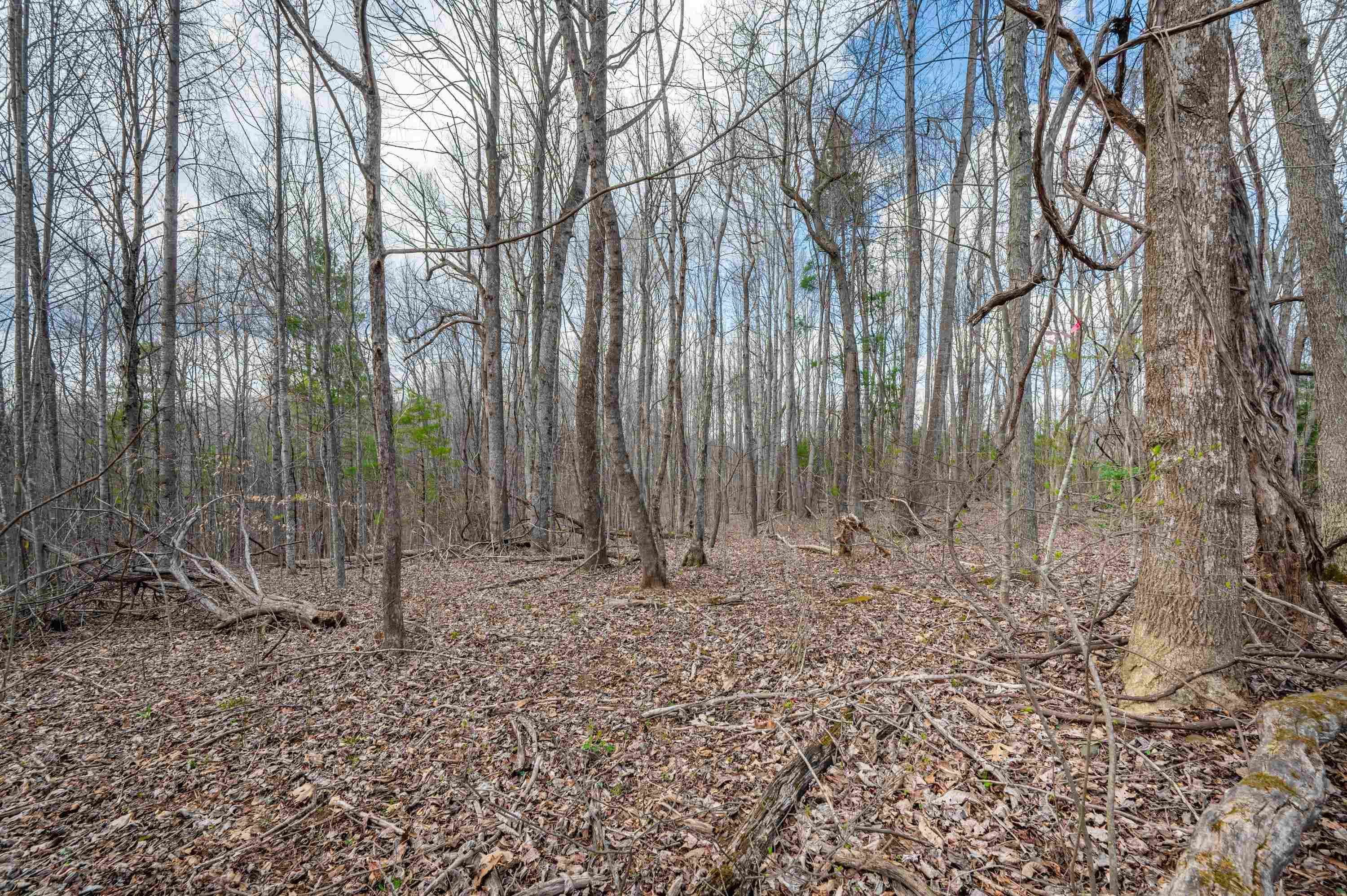 2301 Buffalo Mountain Road SW Willis VA 24380