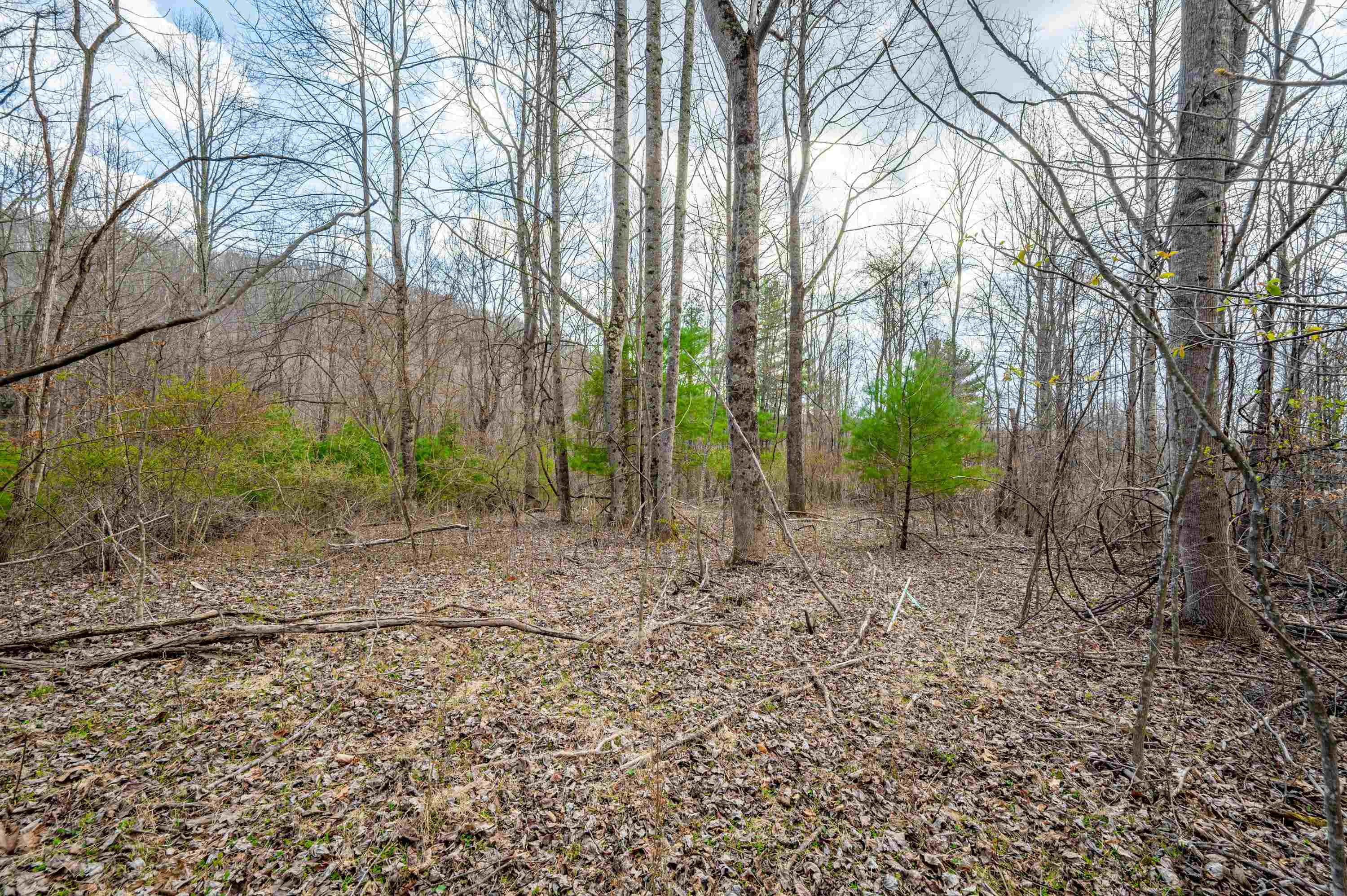 2301 Buffalo Mountain Road SW Willis VA 24380