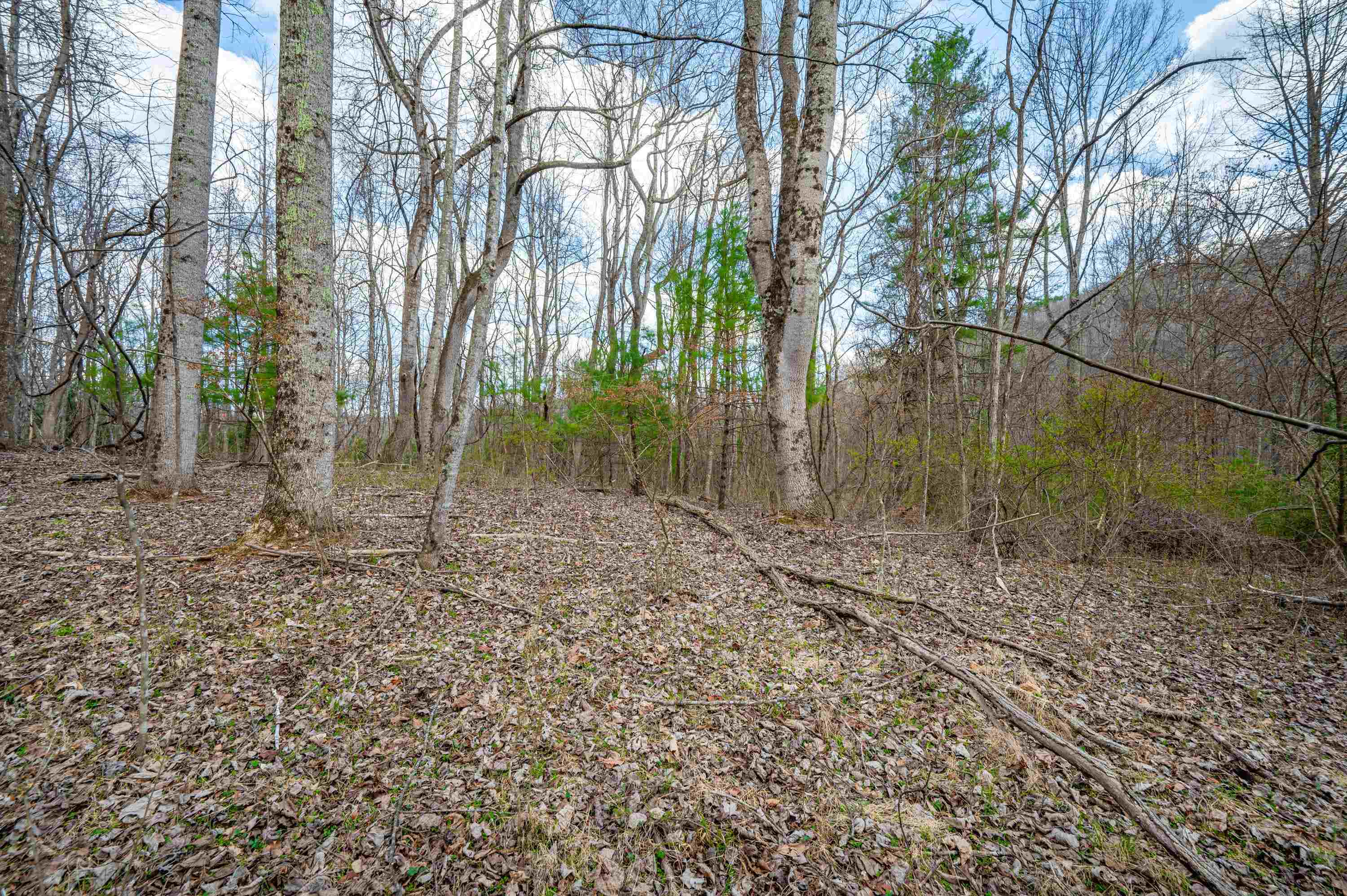 2301 Buffalo Mountain Road SW Willis VA 24380