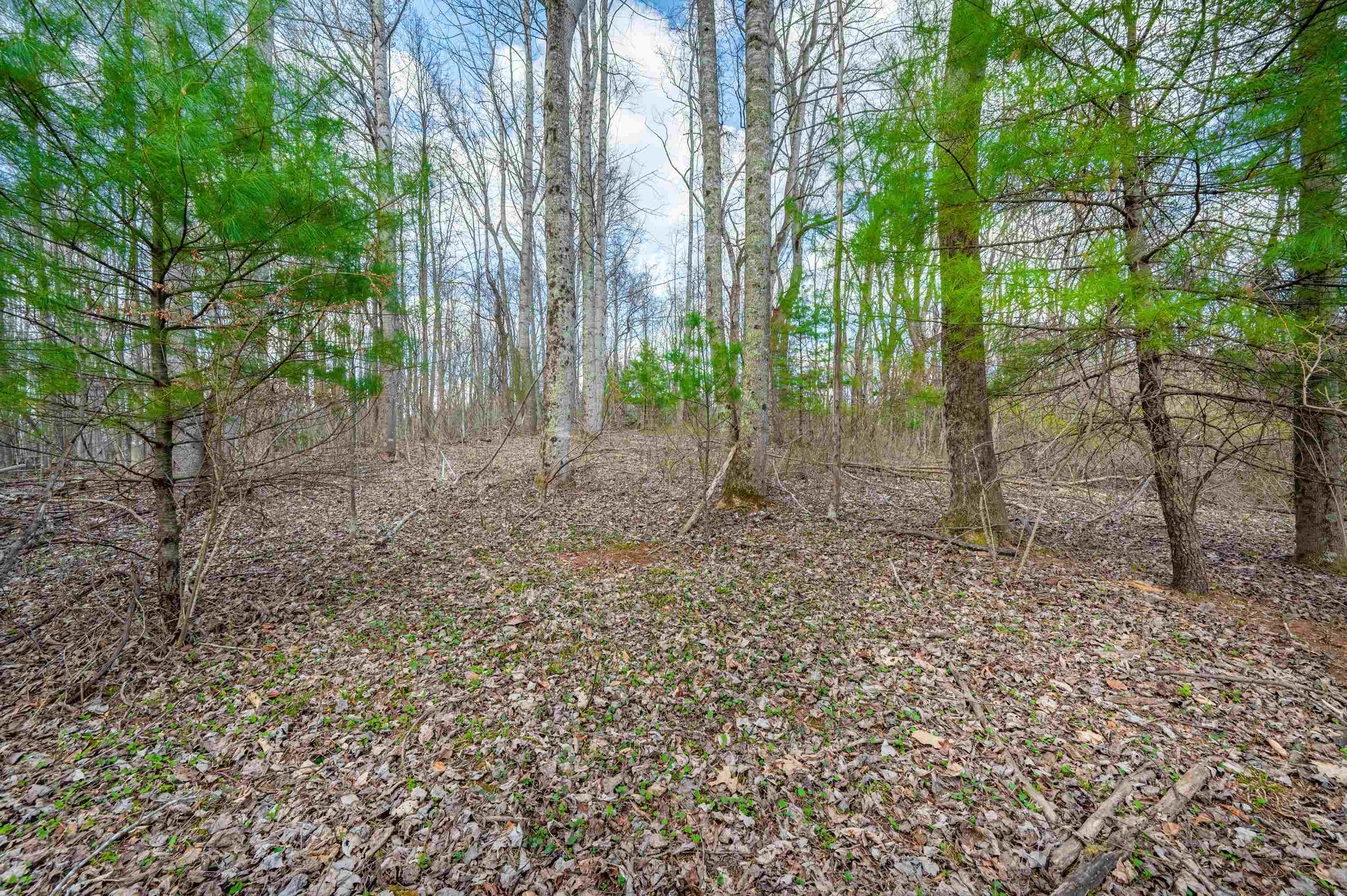 2301 Buffalo Mountain Road SW Willis VA 24380