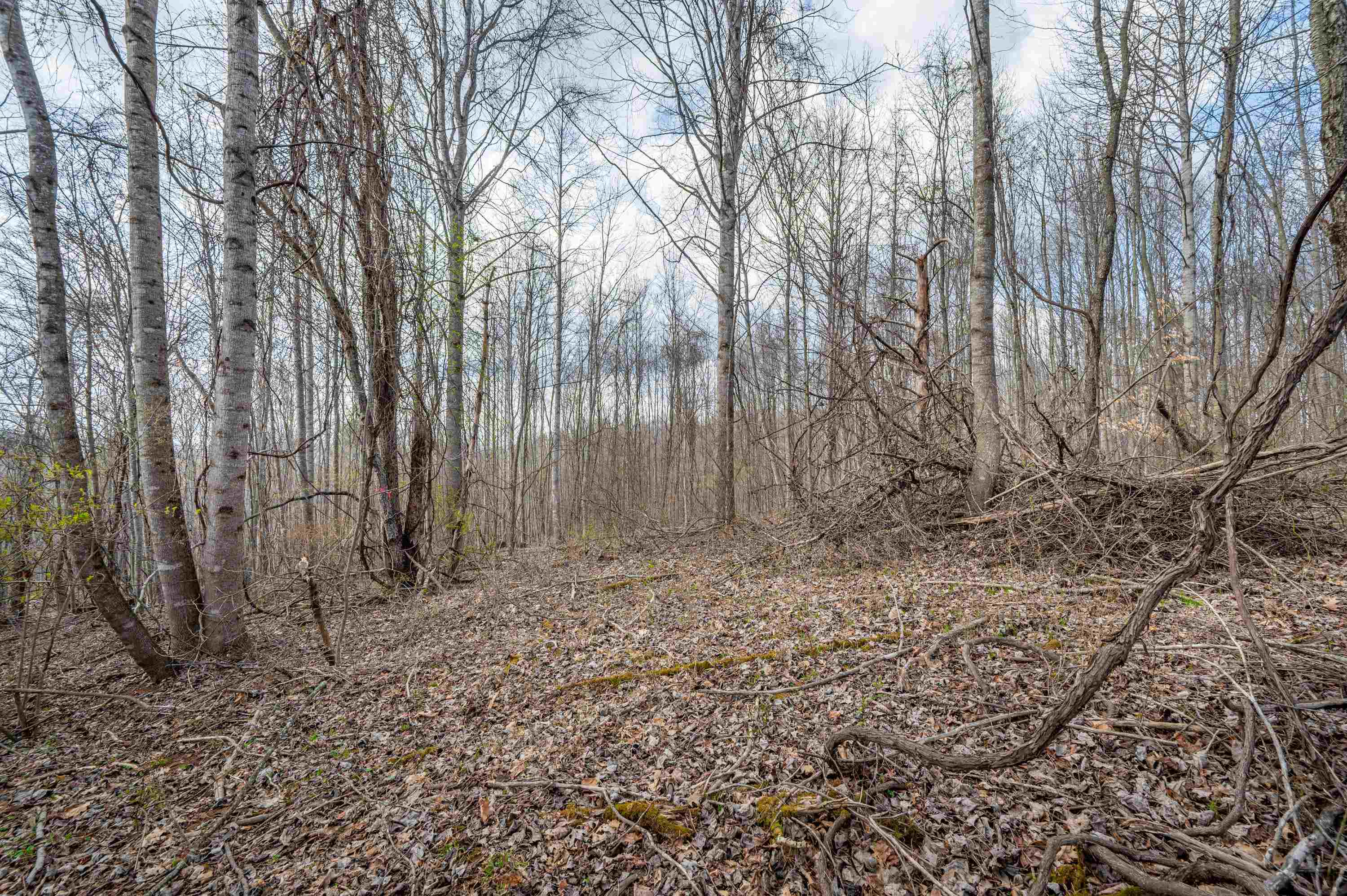 2301 Buffalo Mountain Road SW Willis VA 24380