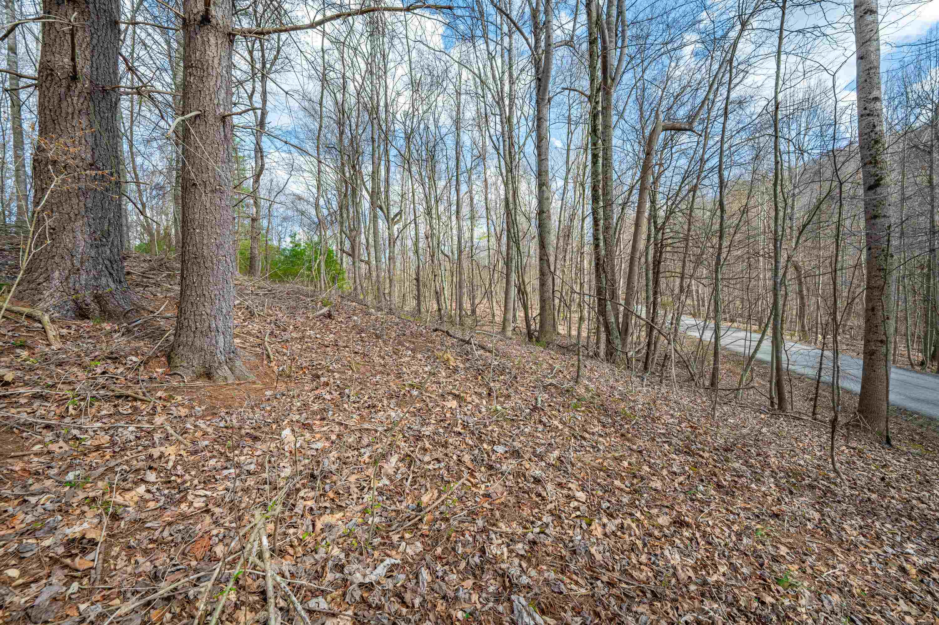 2301 Buffalo Mountain Road SW Willis VA 24380