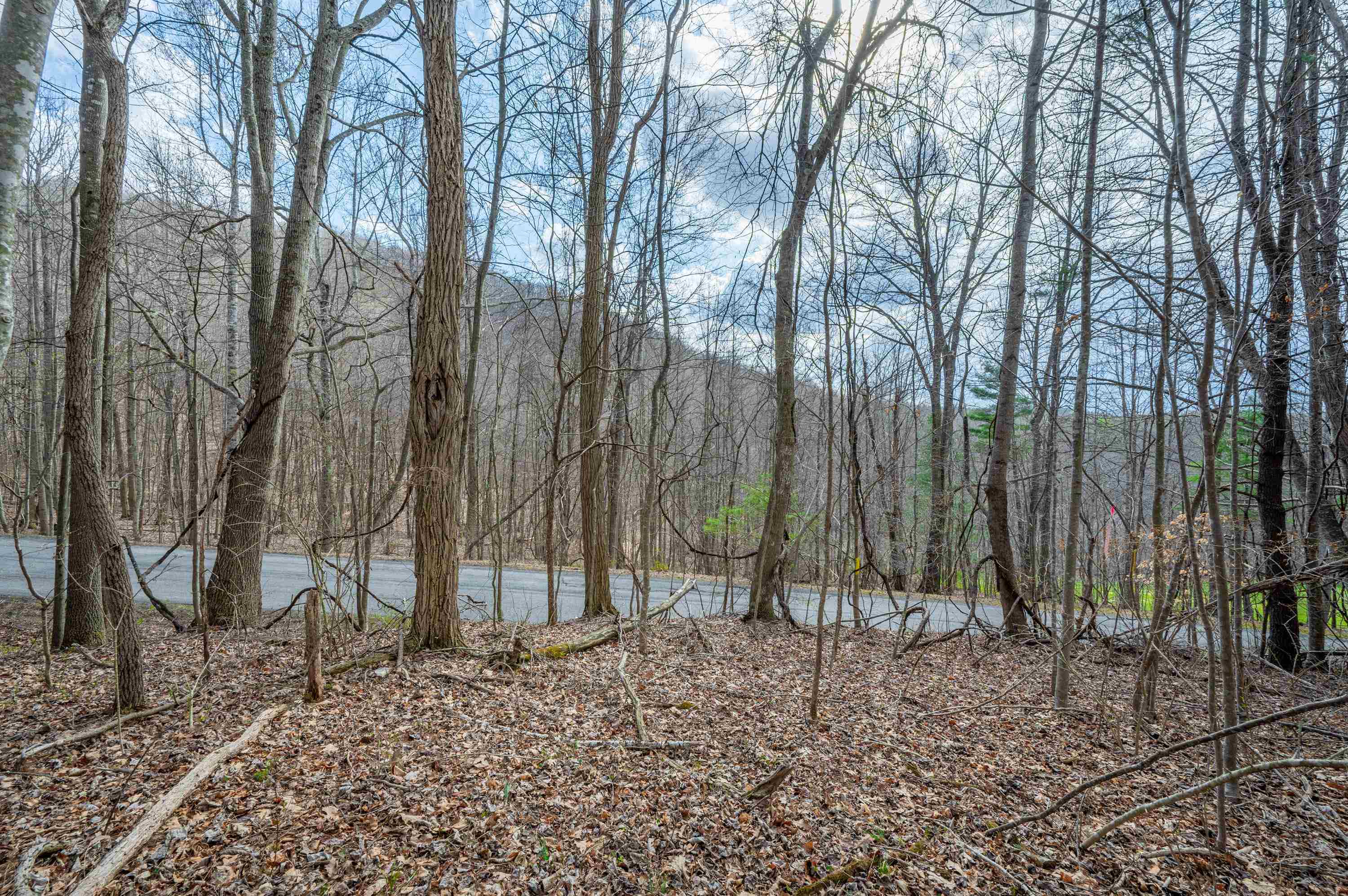 2301 Buffalo Mountain Road SW Willis VA 24380