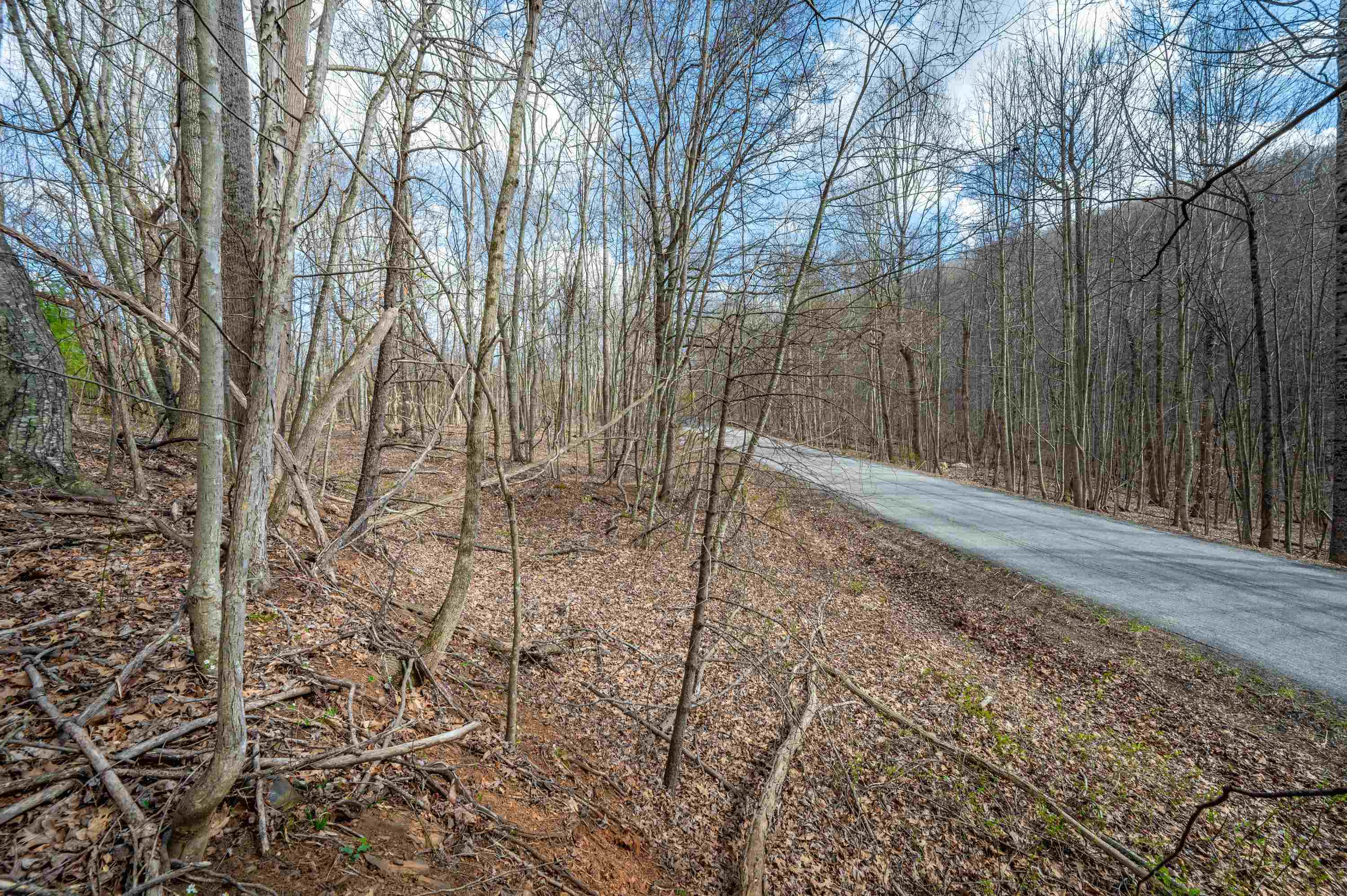 2301 Buffalo Mountain Road SW Willis VA 24380