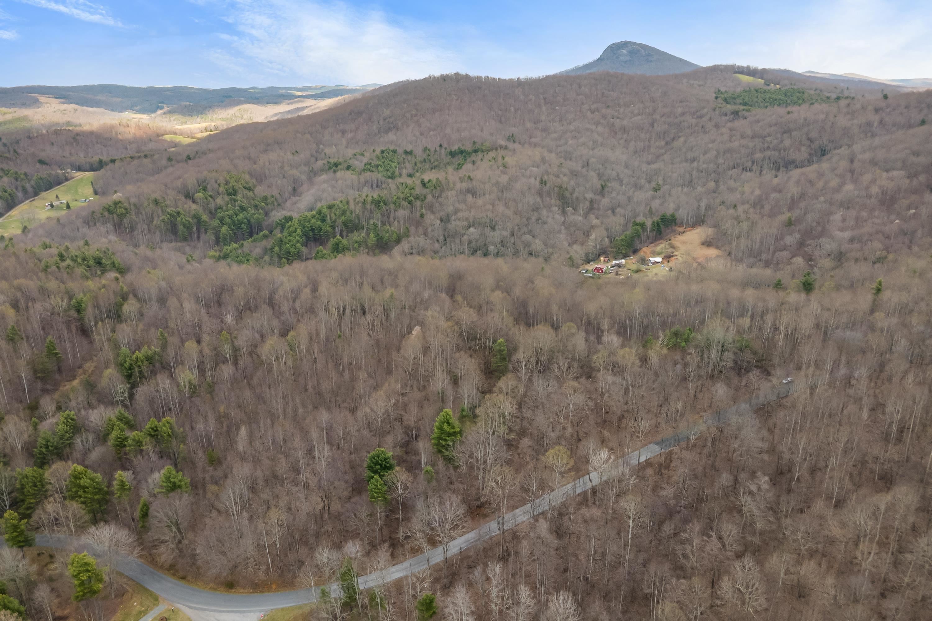 2301 Buffalo Mountain Road SW Willis VA 24380