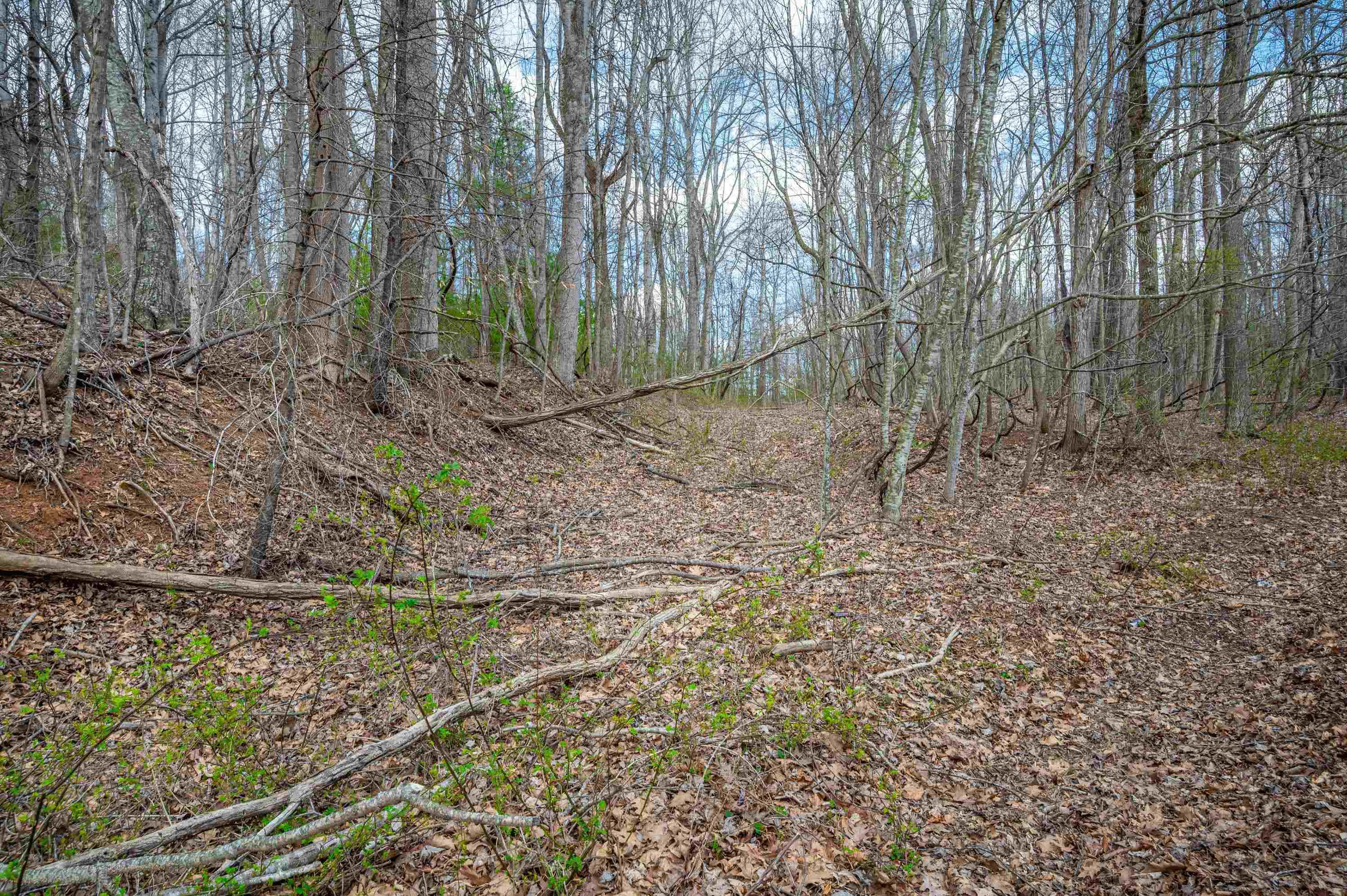 2301 Buffalo Mountain Road SW Willis VA 24380