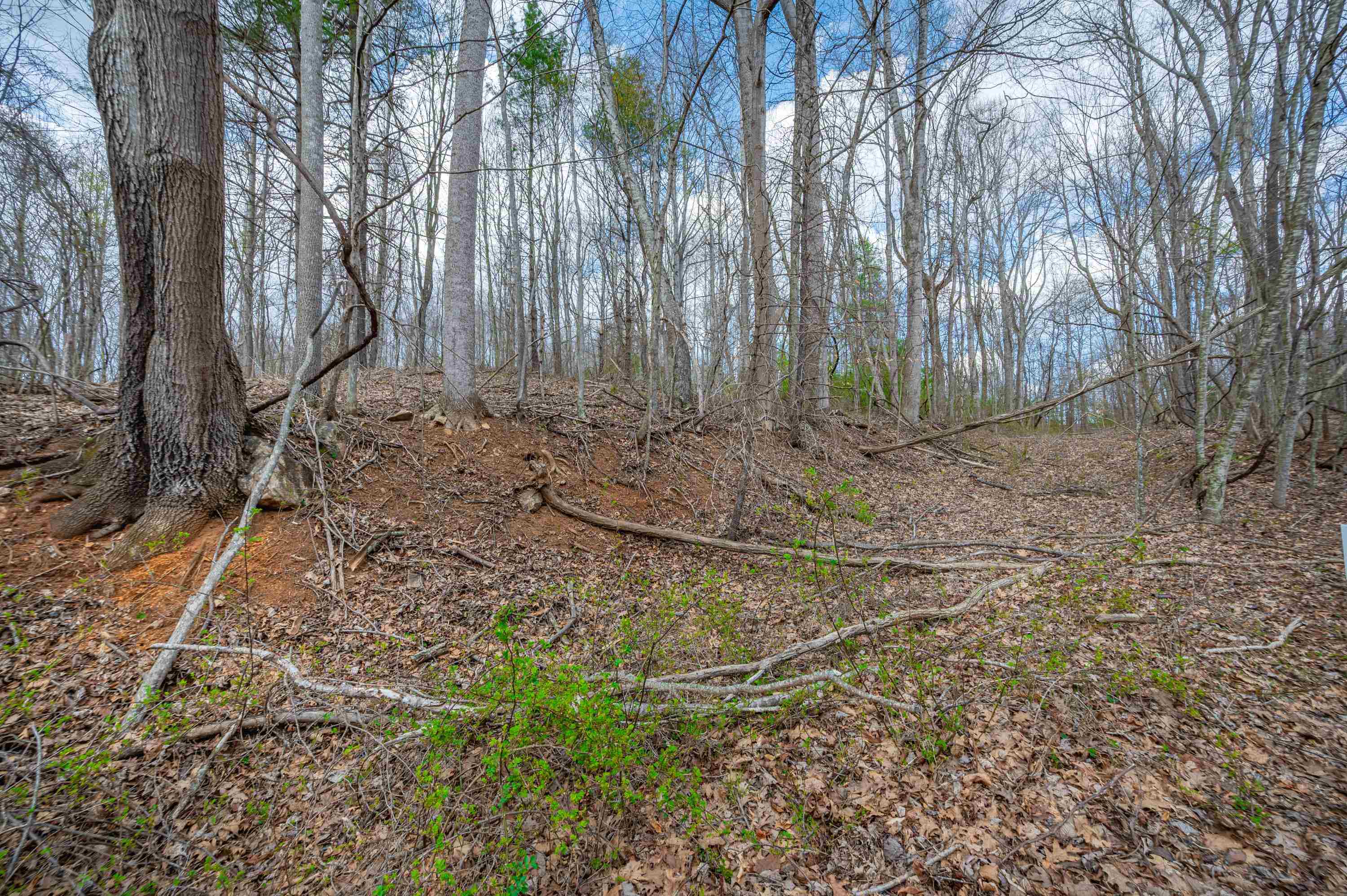 2301 Buffalo Mountain Road SW Willis VA 24380