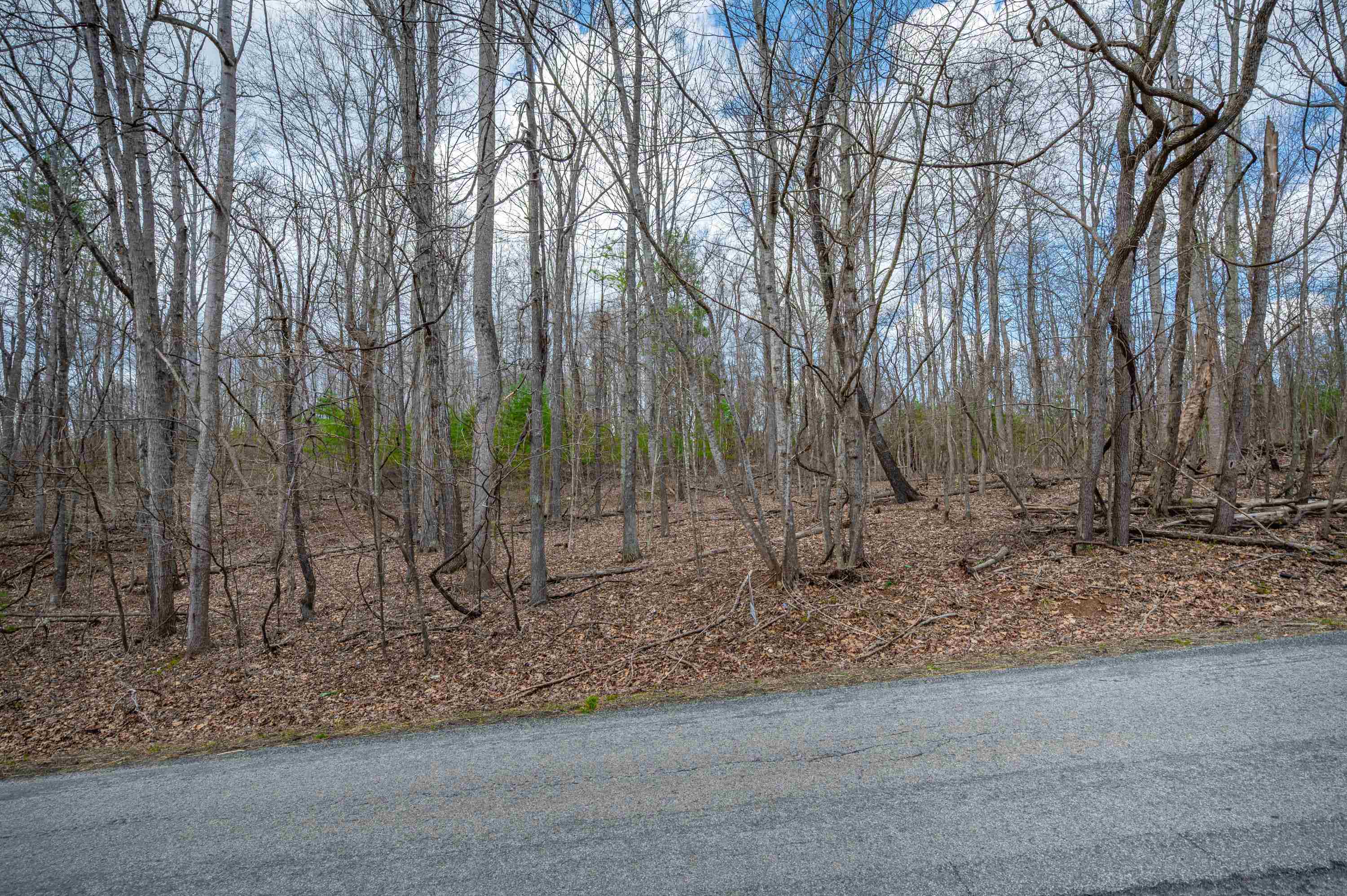 2301 Buffalo Mountain Road SW Willis VA 24380