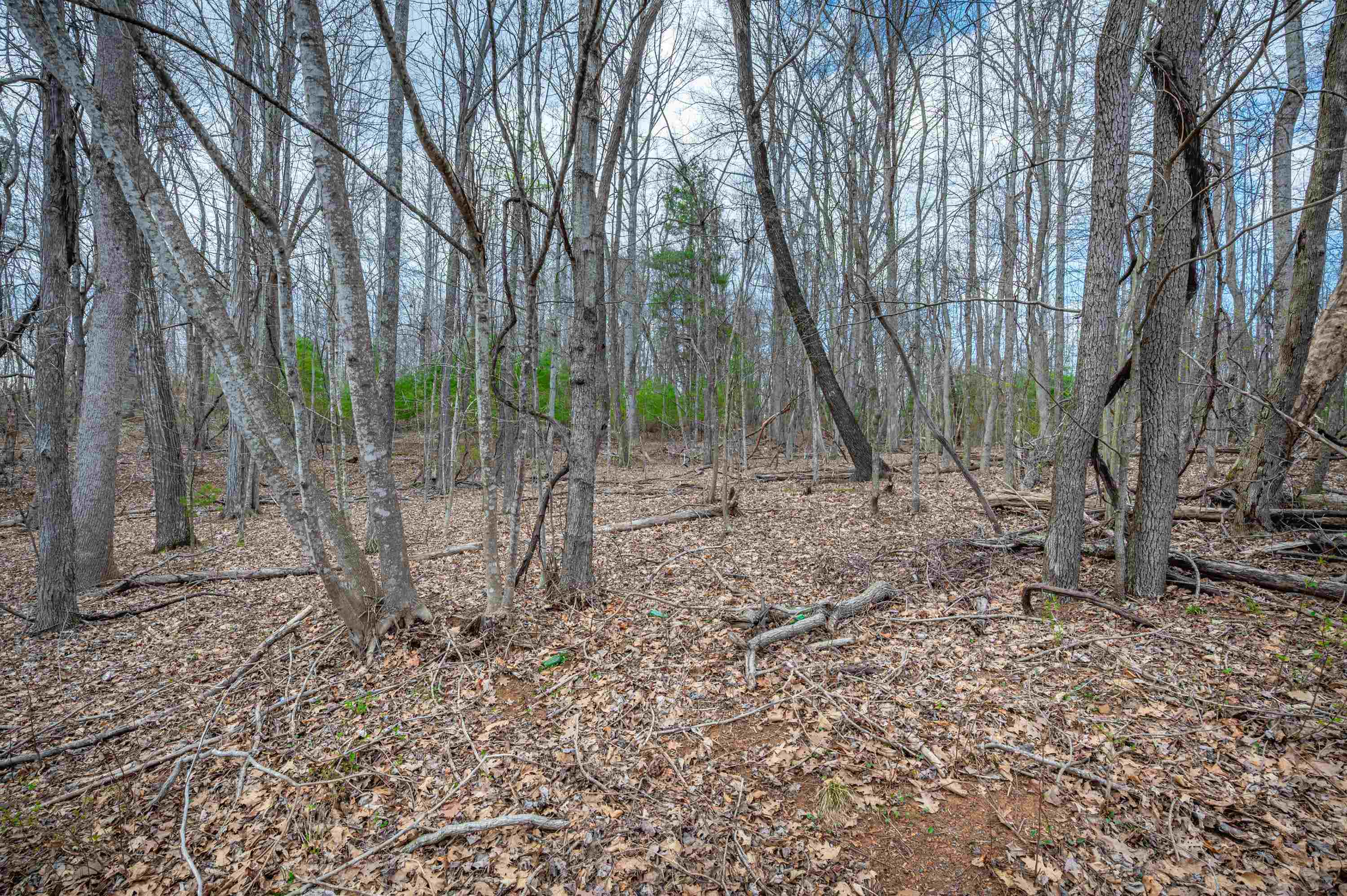 2301 Buffalo Mountain Road SW Willis VA 24380