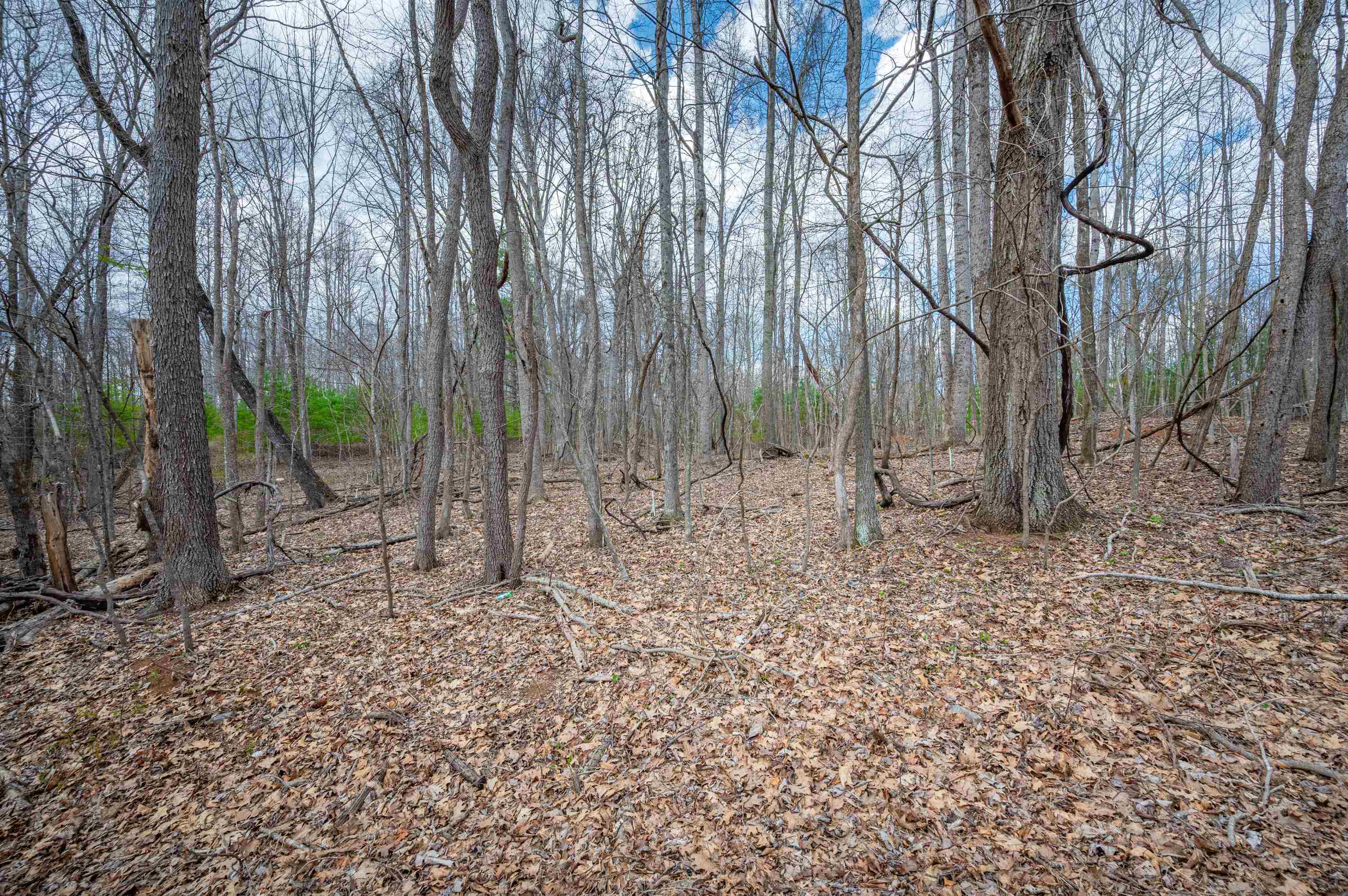 2301 Buffalo Mountain Road SW Willis VA 24380