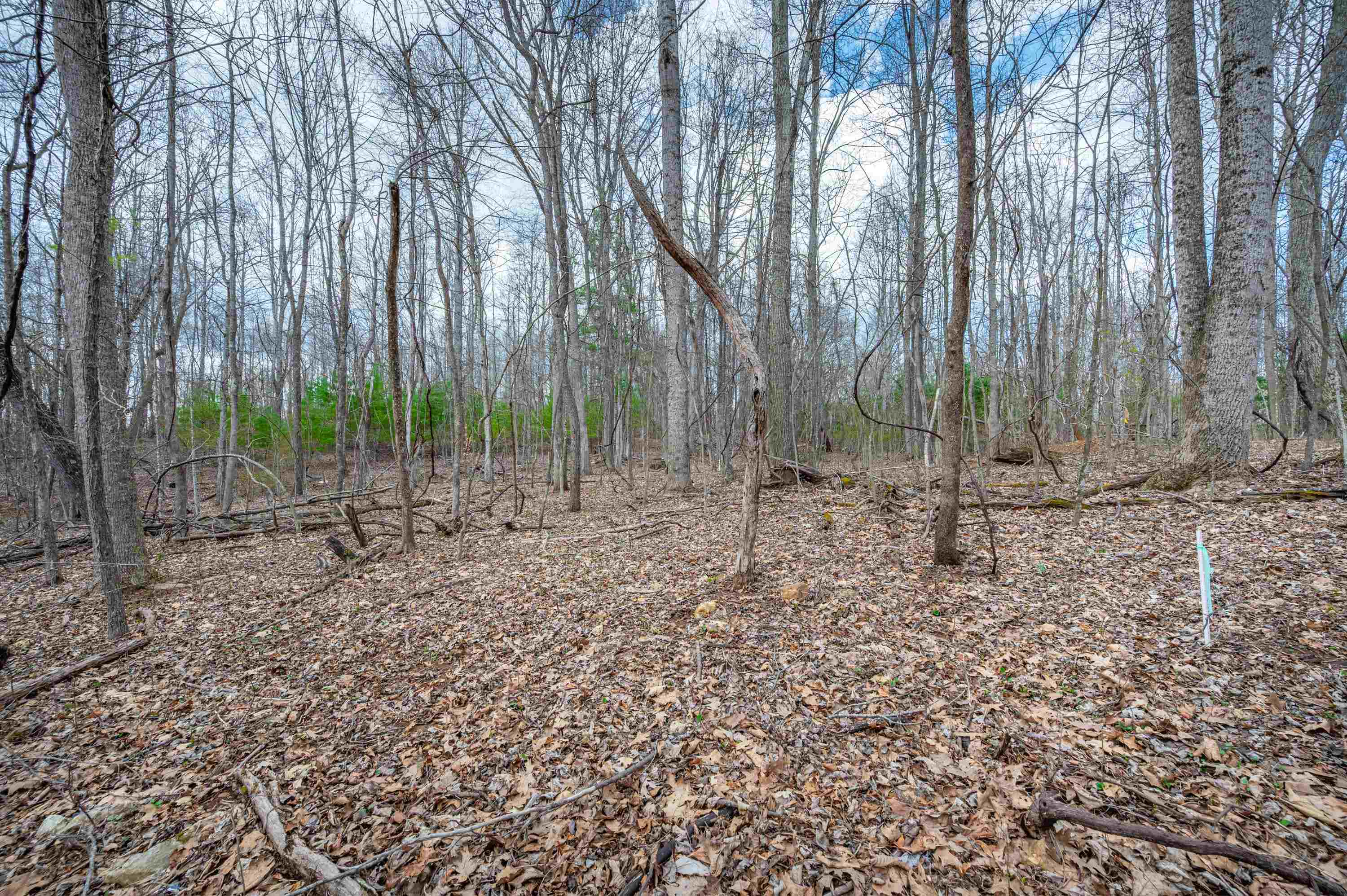 2301 Buffalo Mountain Road SW Willis VA 24380