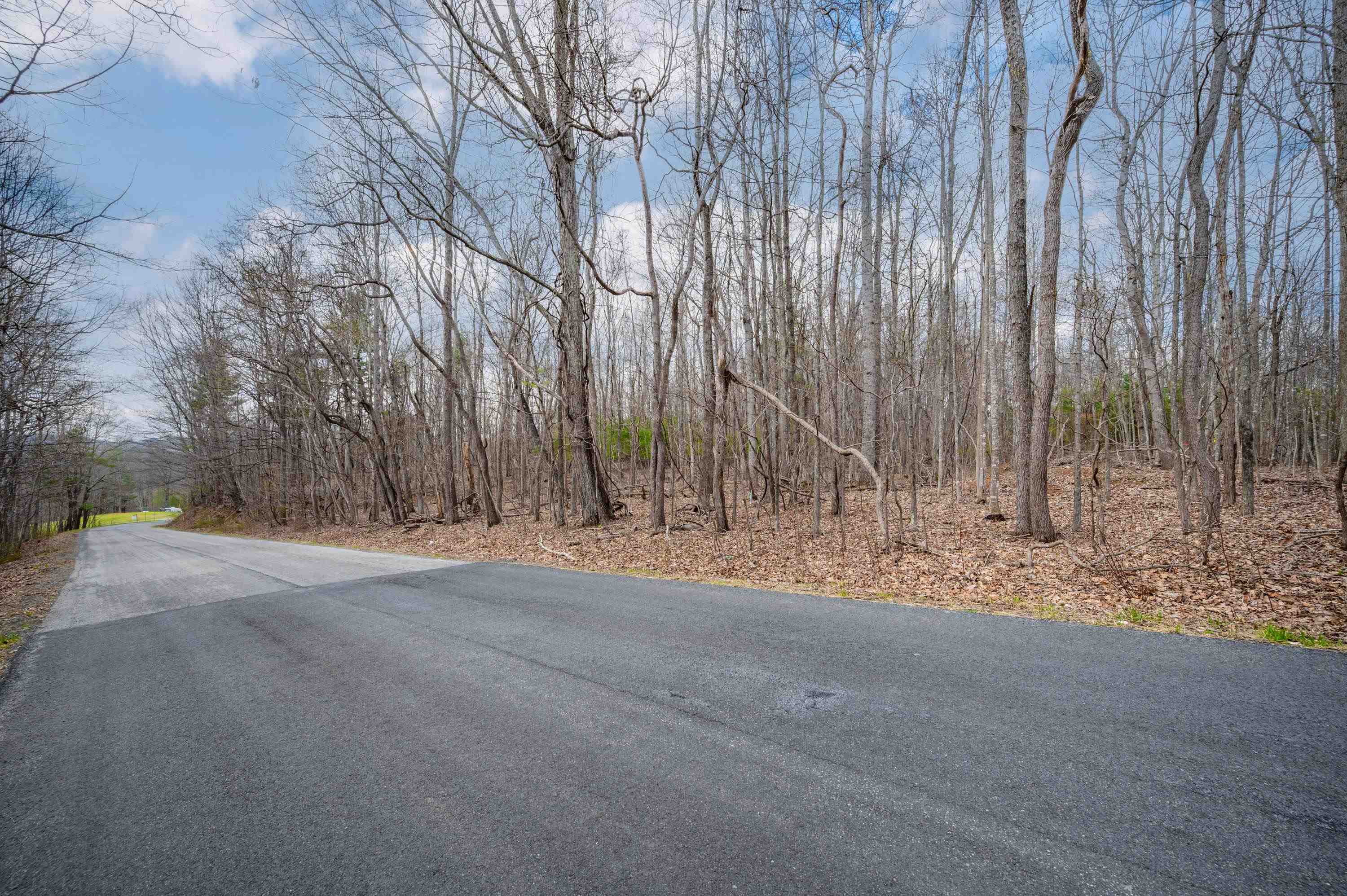 2301 Buffalo Mountain Road SW Willis VA 24380