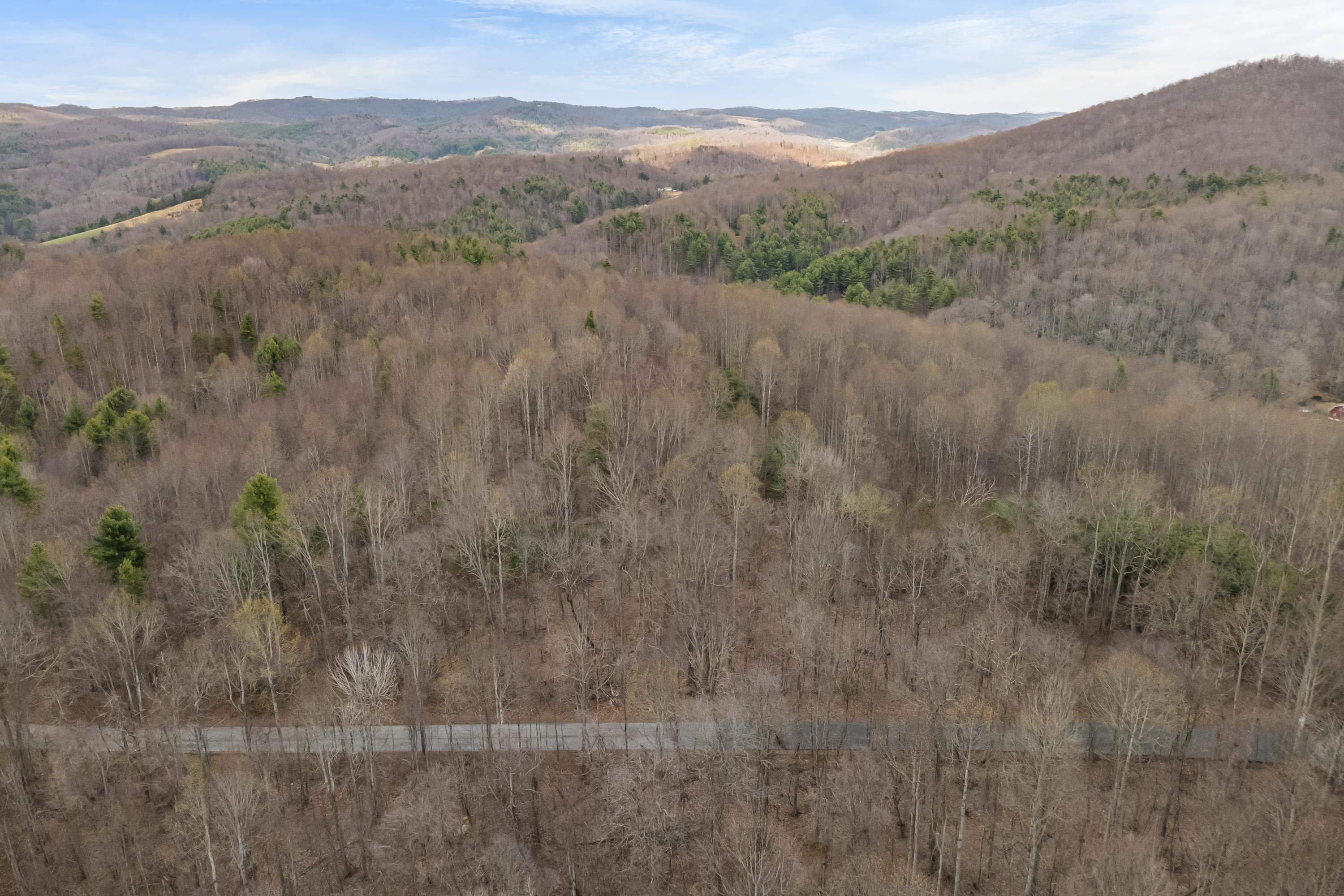 2301 Buffalo Mountain Road SW Willis VA 24380