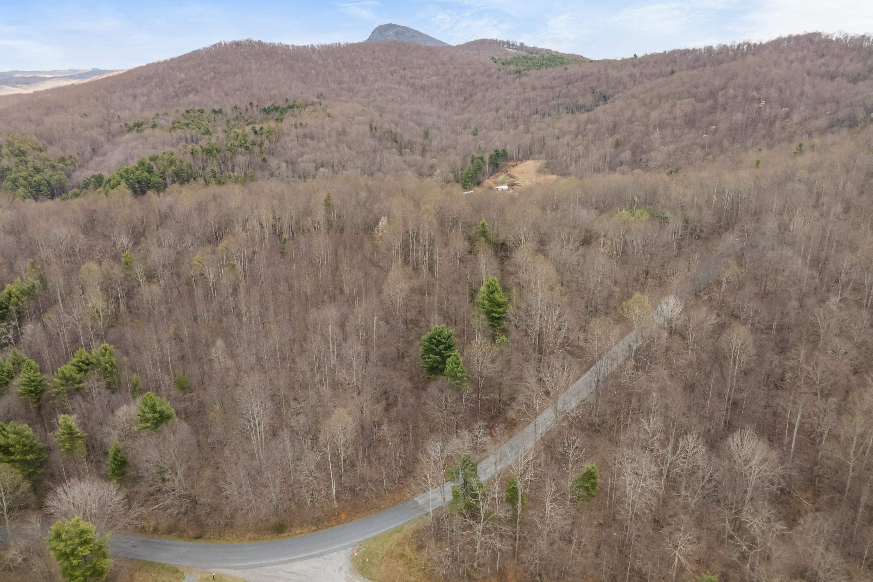 2301 Buffalo Mountain Road SW Willis VA 24380