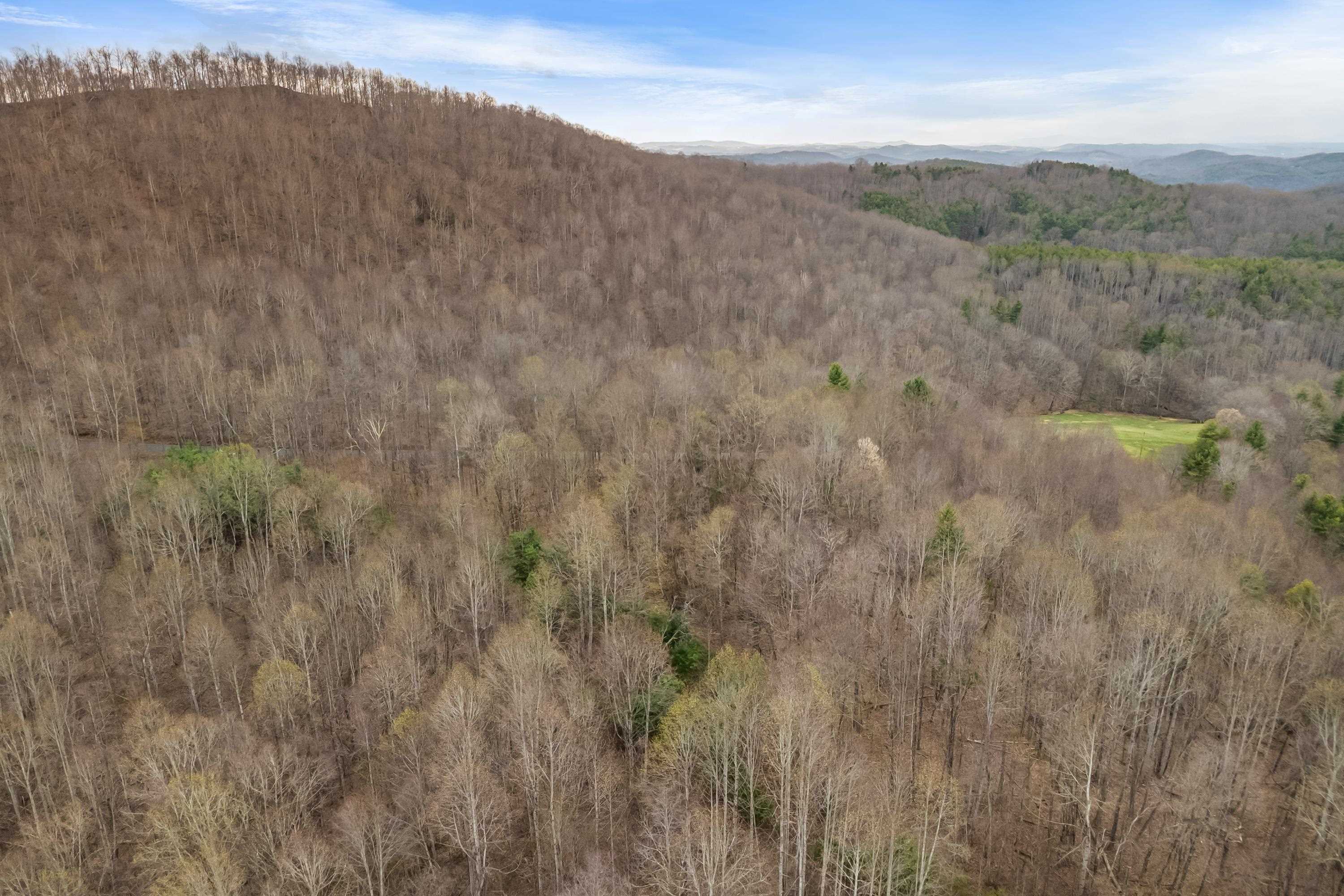 2301 Buffalo Mountain Road SW Willis VA 24380