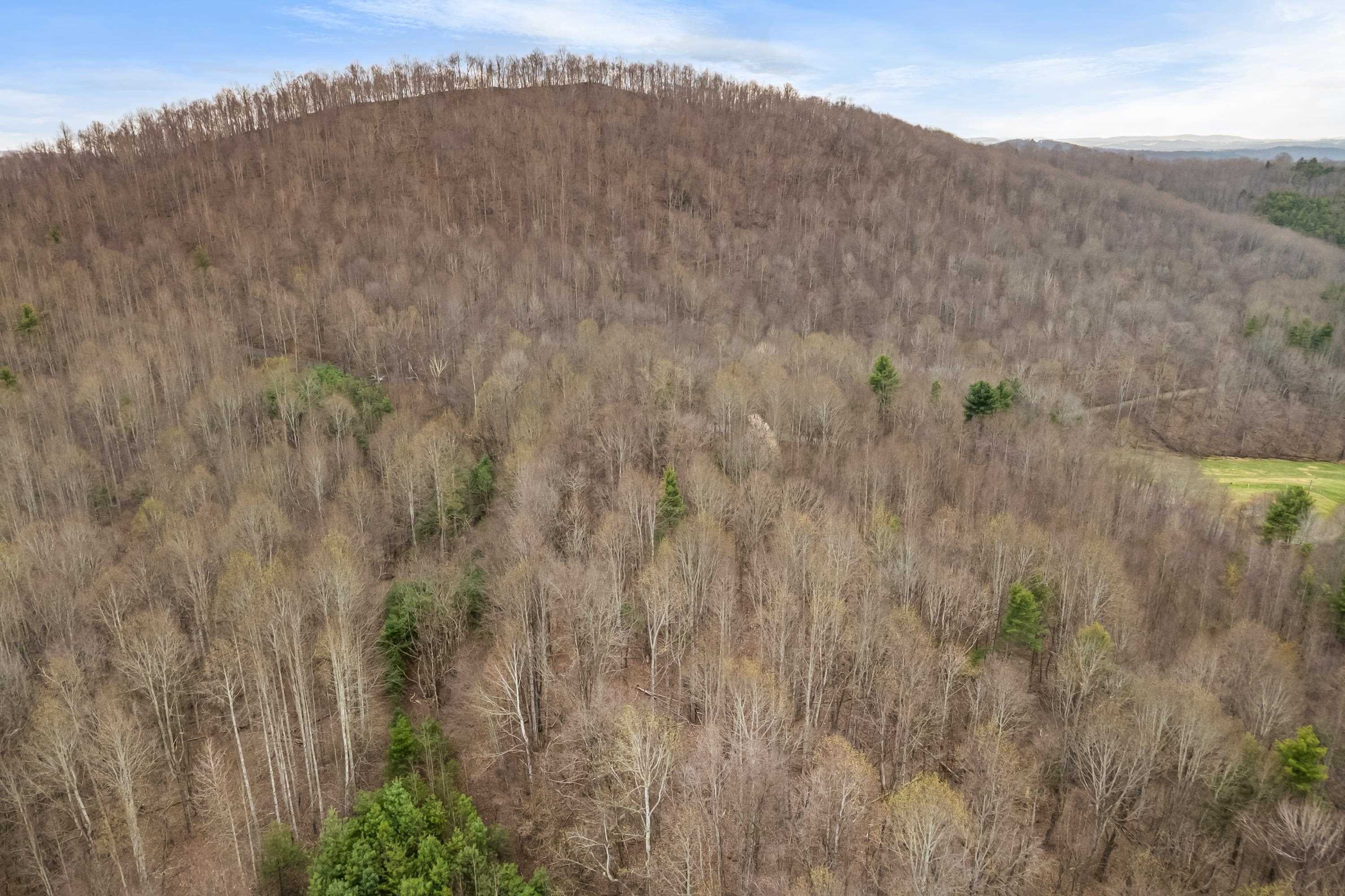 2301 Buffalo Mountain Road SW Willis VA 24380