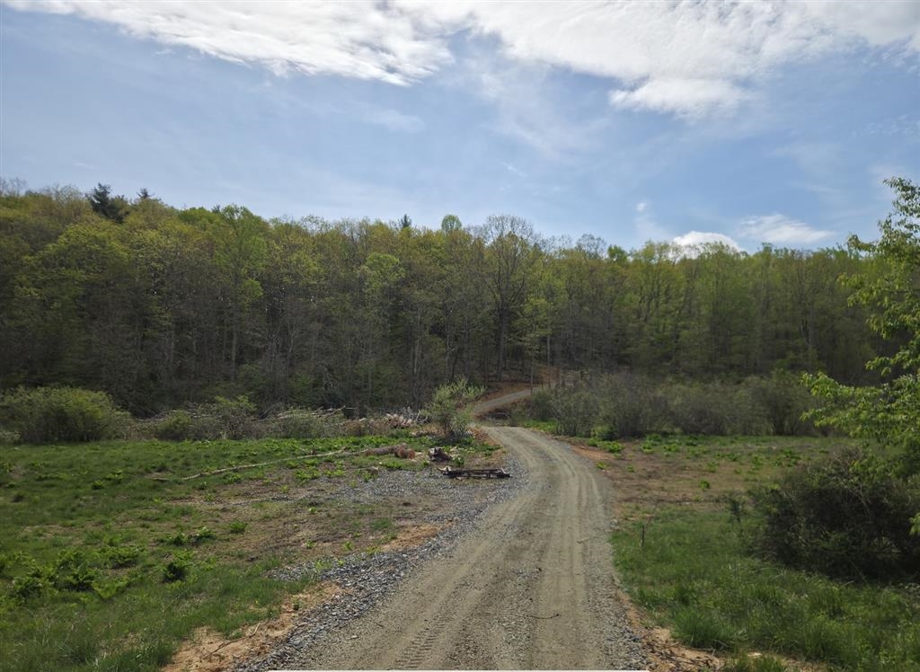 271 Spring Dale Road SW Floyd VA 24091