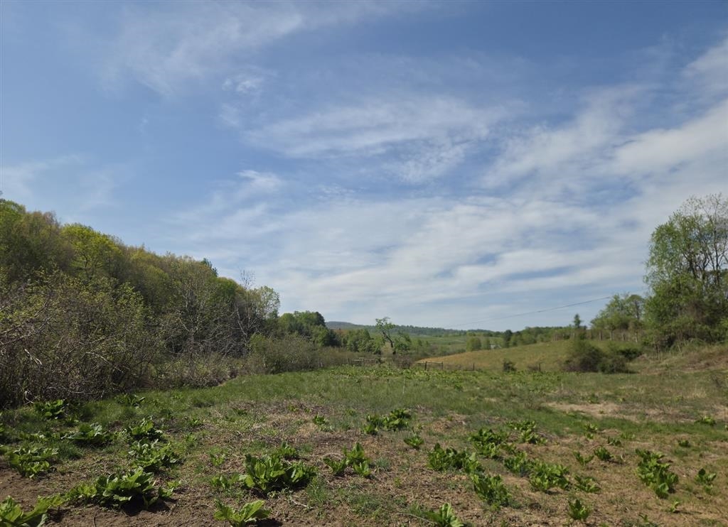 271 Spring Dale Road SW Floyd VA 24091