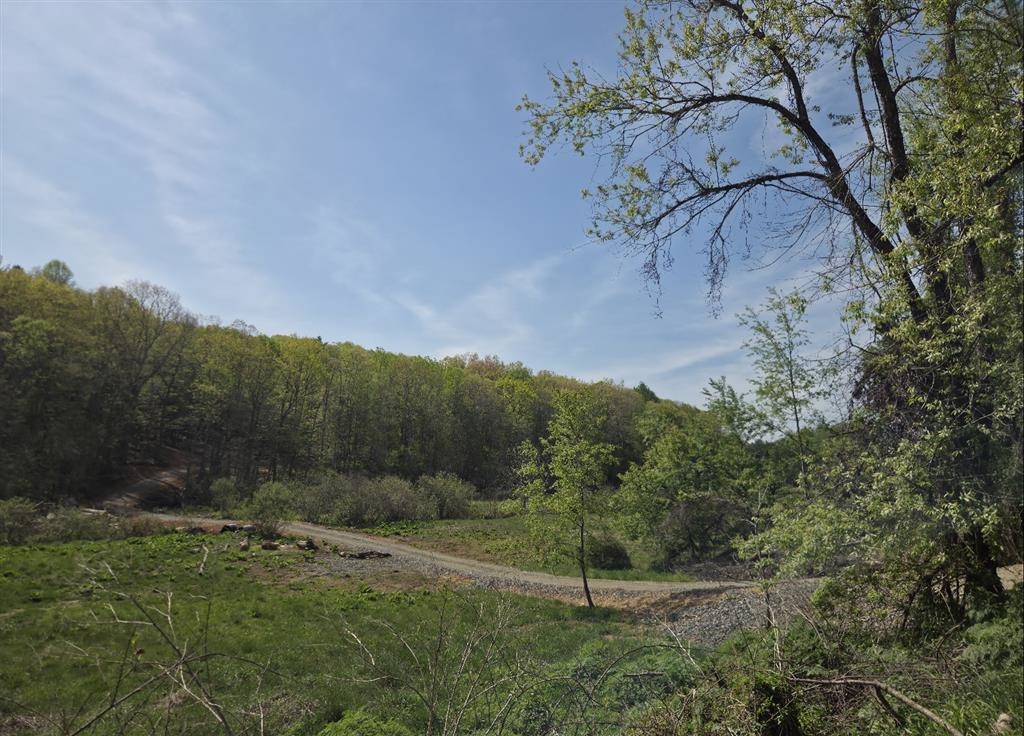 271 Spring Dale Road SW Floyd VA 24091