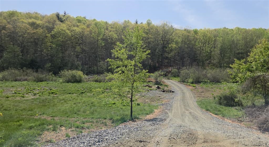 271 Spring Dale Road SW Floyd VA 24091
