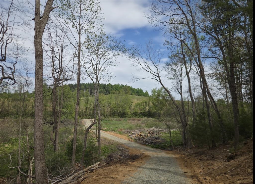 271 Spring Dale Road SW Floyd VA 24091