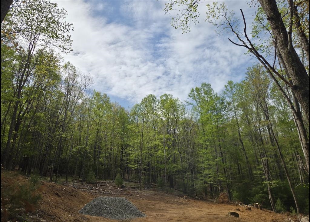 271 Spring Dale Road SW Floyd VA 24091