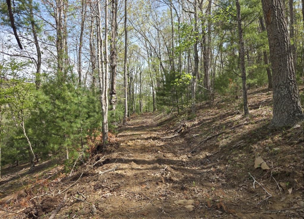 271 Spring Dale Road SW Floyd VA 24091
