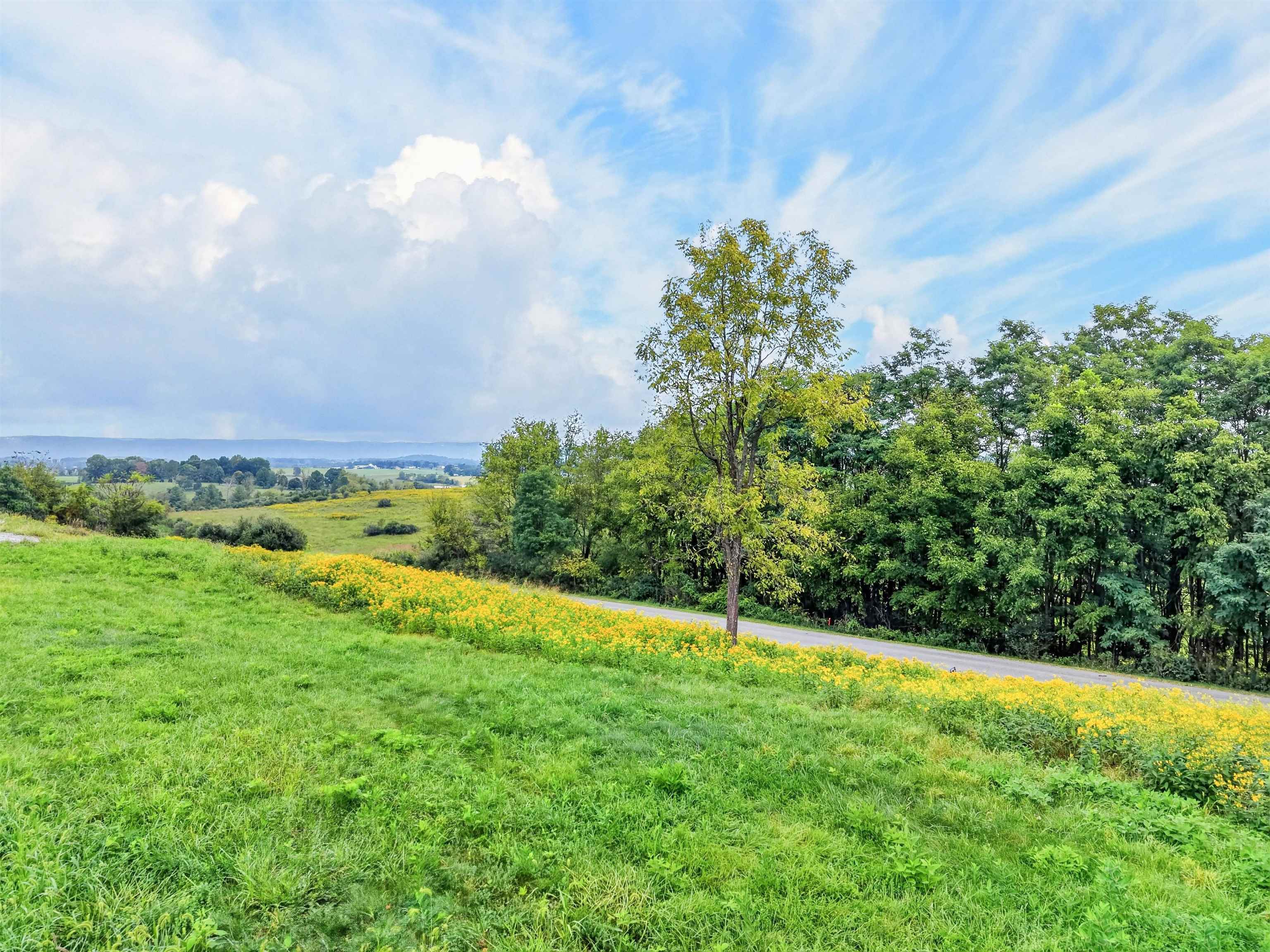 4322 Country Club Drive Pulaski VA 24301