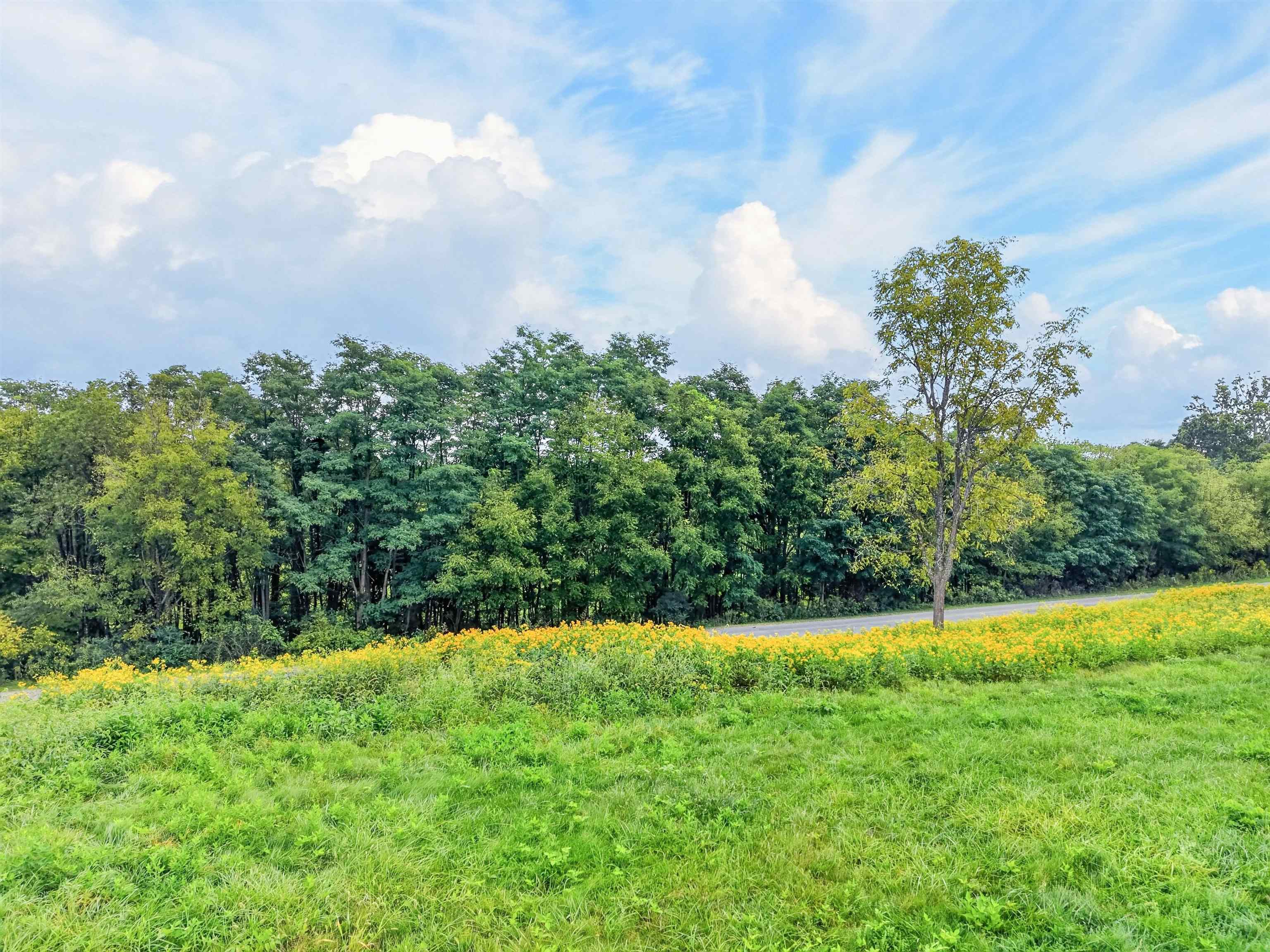 4322 Country Club Drive Pulaski VA 24301