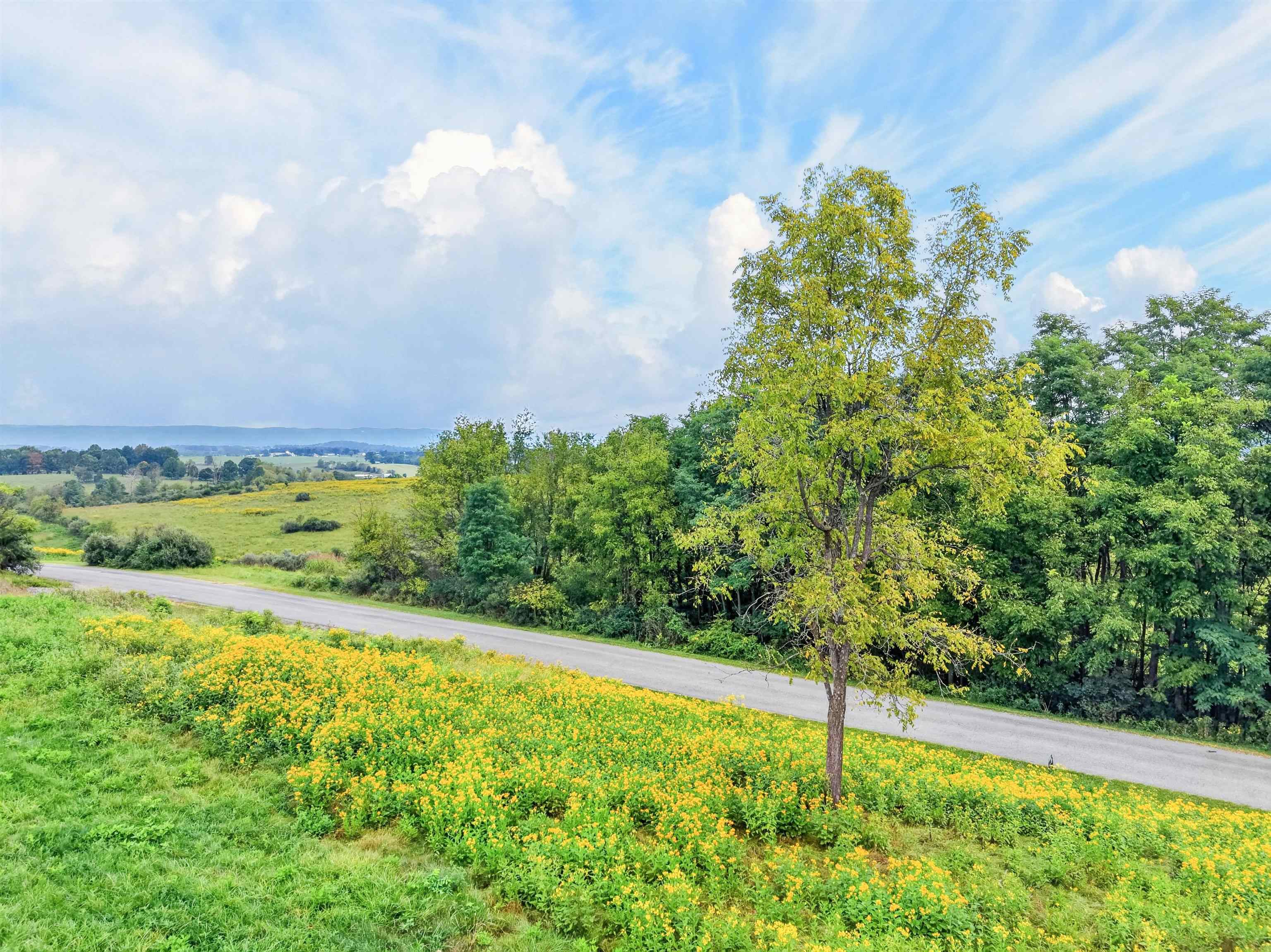 4322 Country Club Drive Pulaski VA 24301