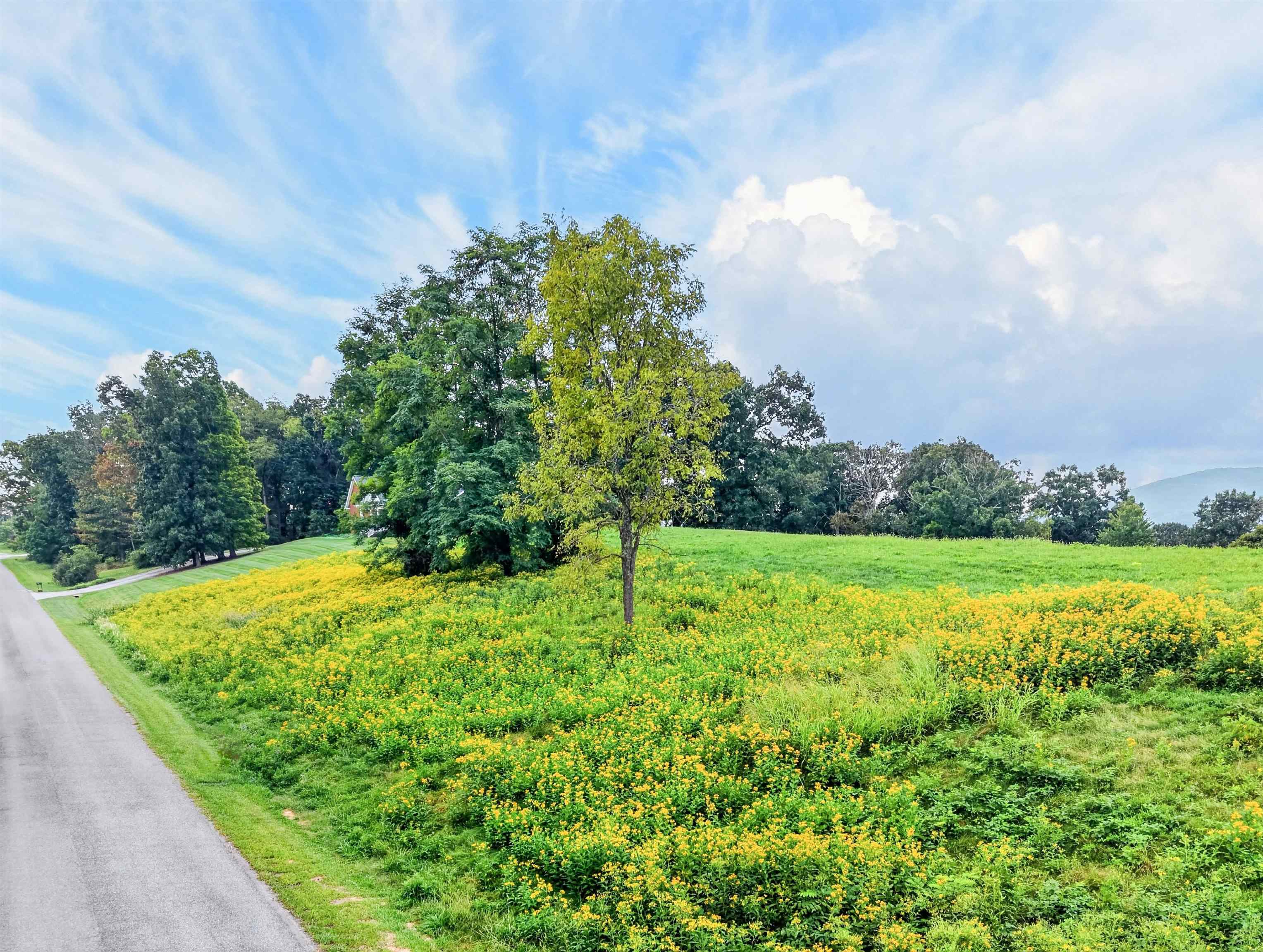 4322 Country Club Drive Pulaski VA 24301