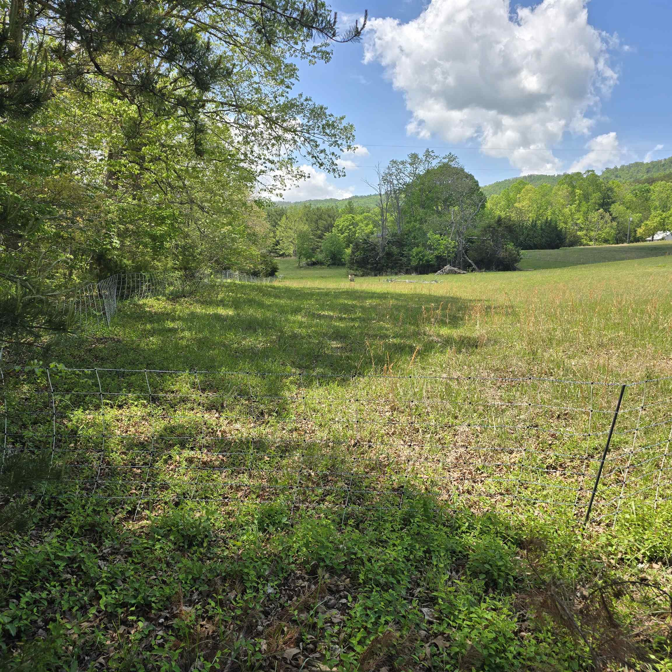 Tbd Flatwoods Road Elliston VA 24087