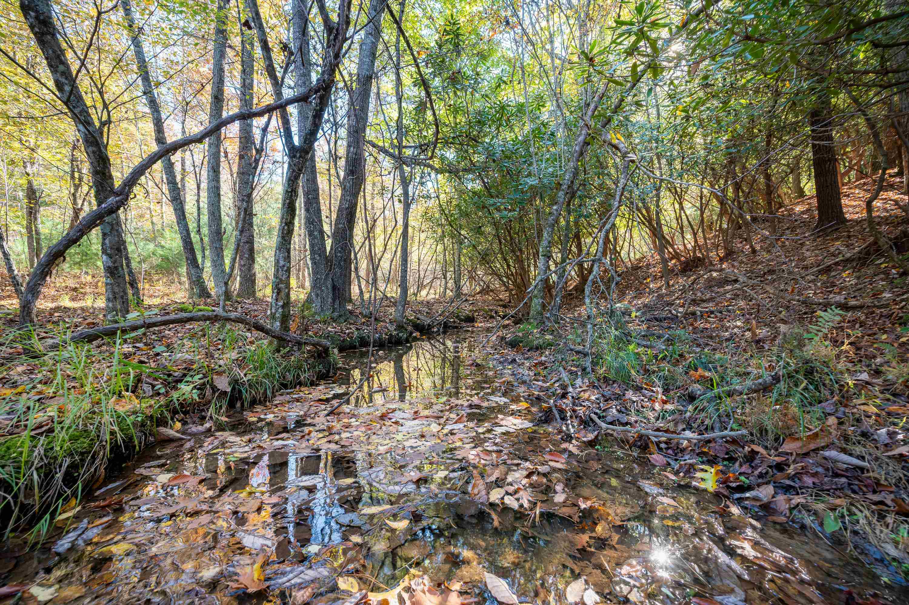 0 Barberry Road SE Floyd VA 24091