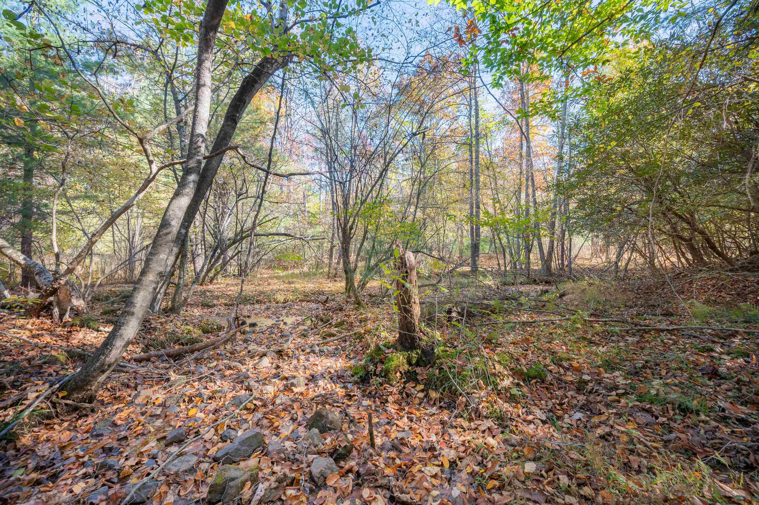 0 Barberry Road SE Floyd VA 24091