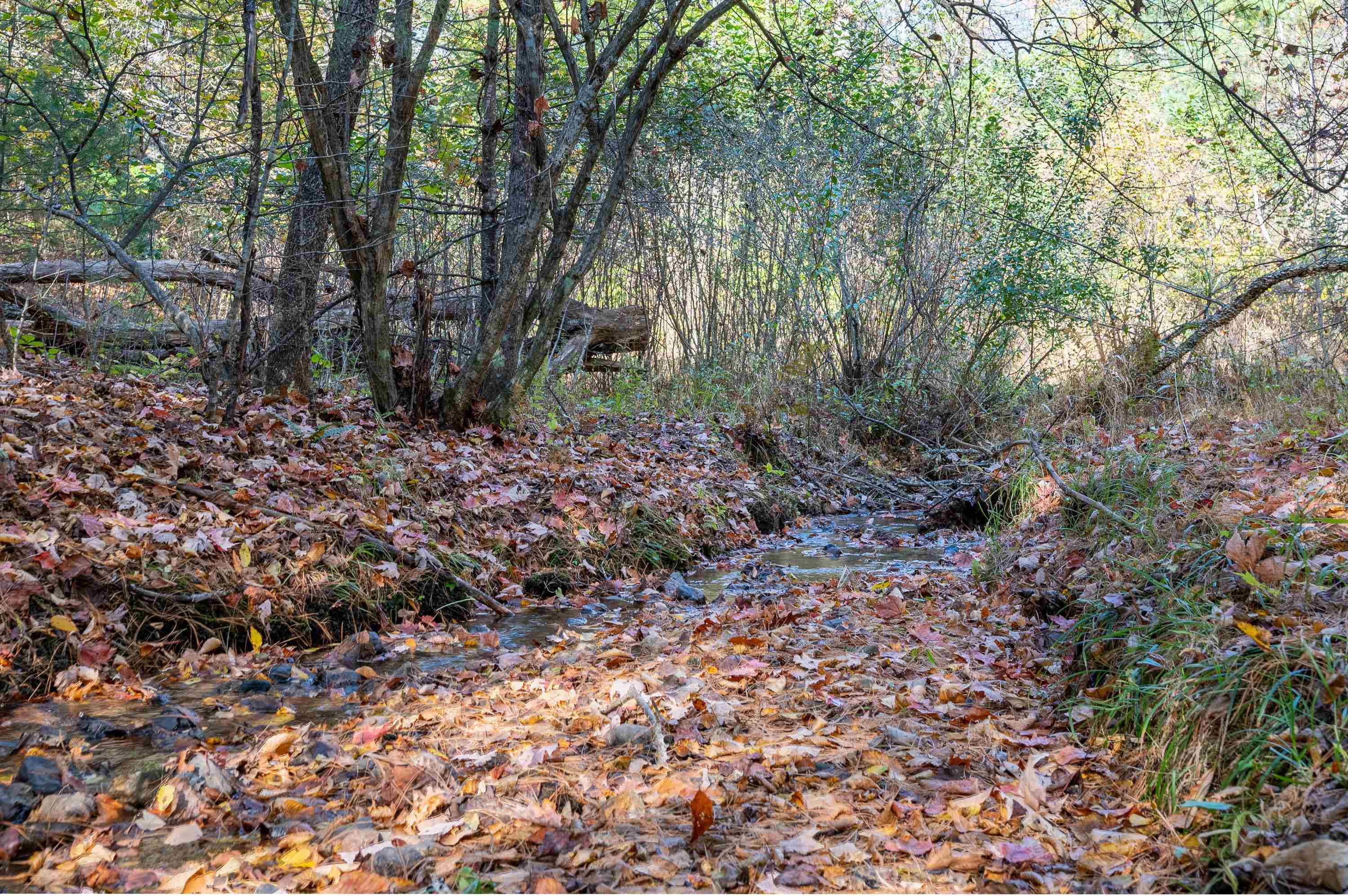 0 Barberry Road SE Floyd VA 24091