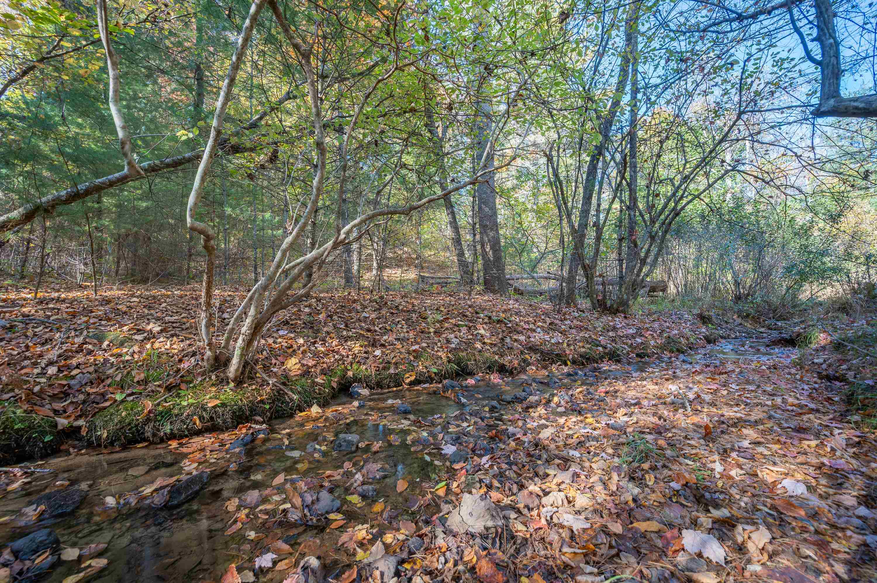 0 Barberry Road SE Floyd VA 24091