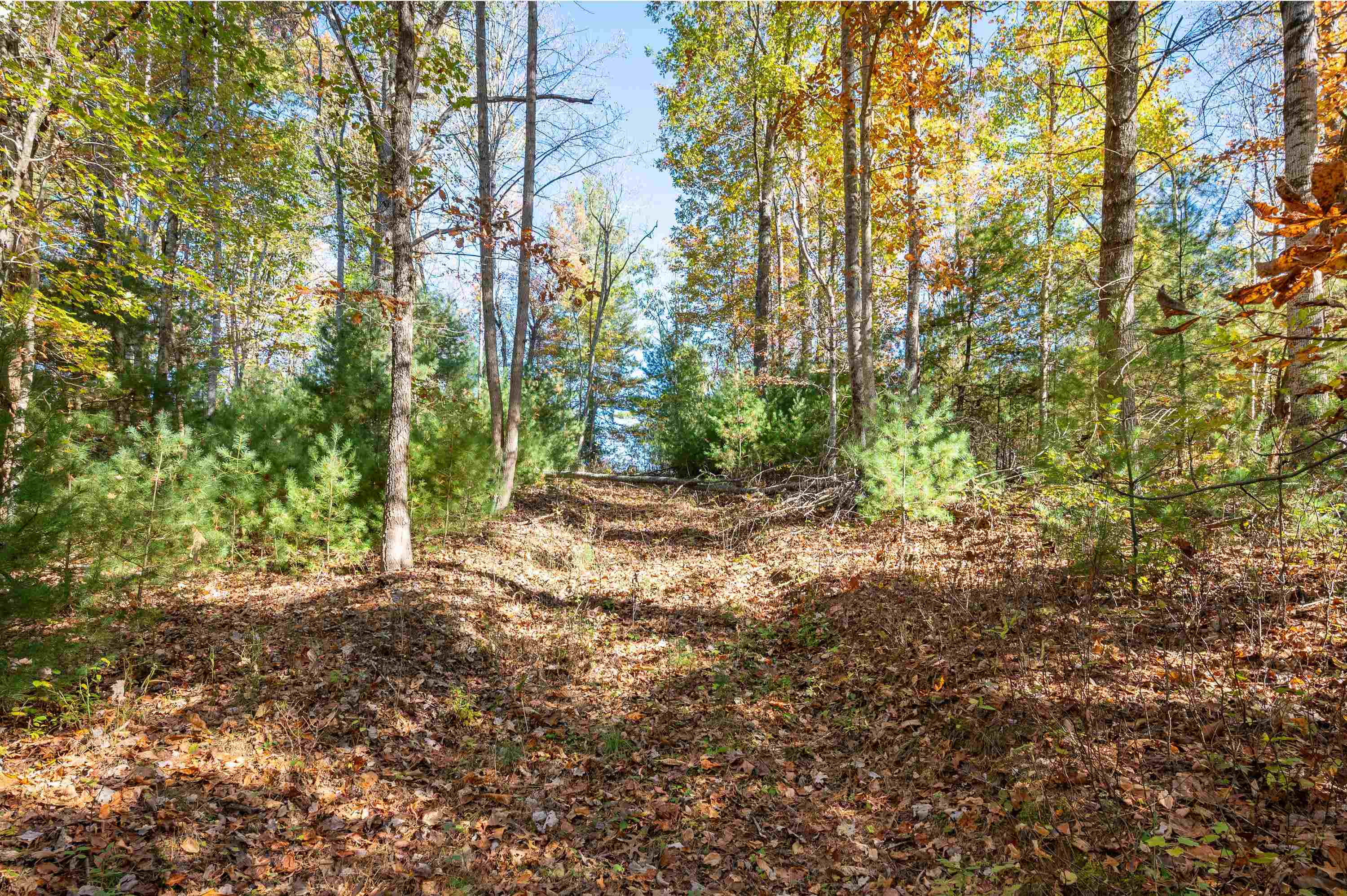 0 Barberry Road SE Floyd VA 24091