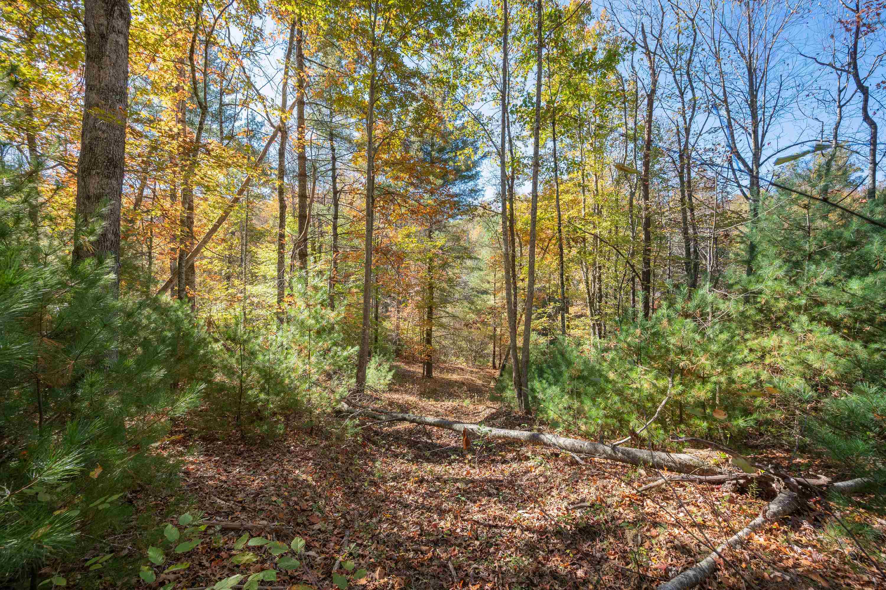 0 Barberry Road SE Floyd VA 24091