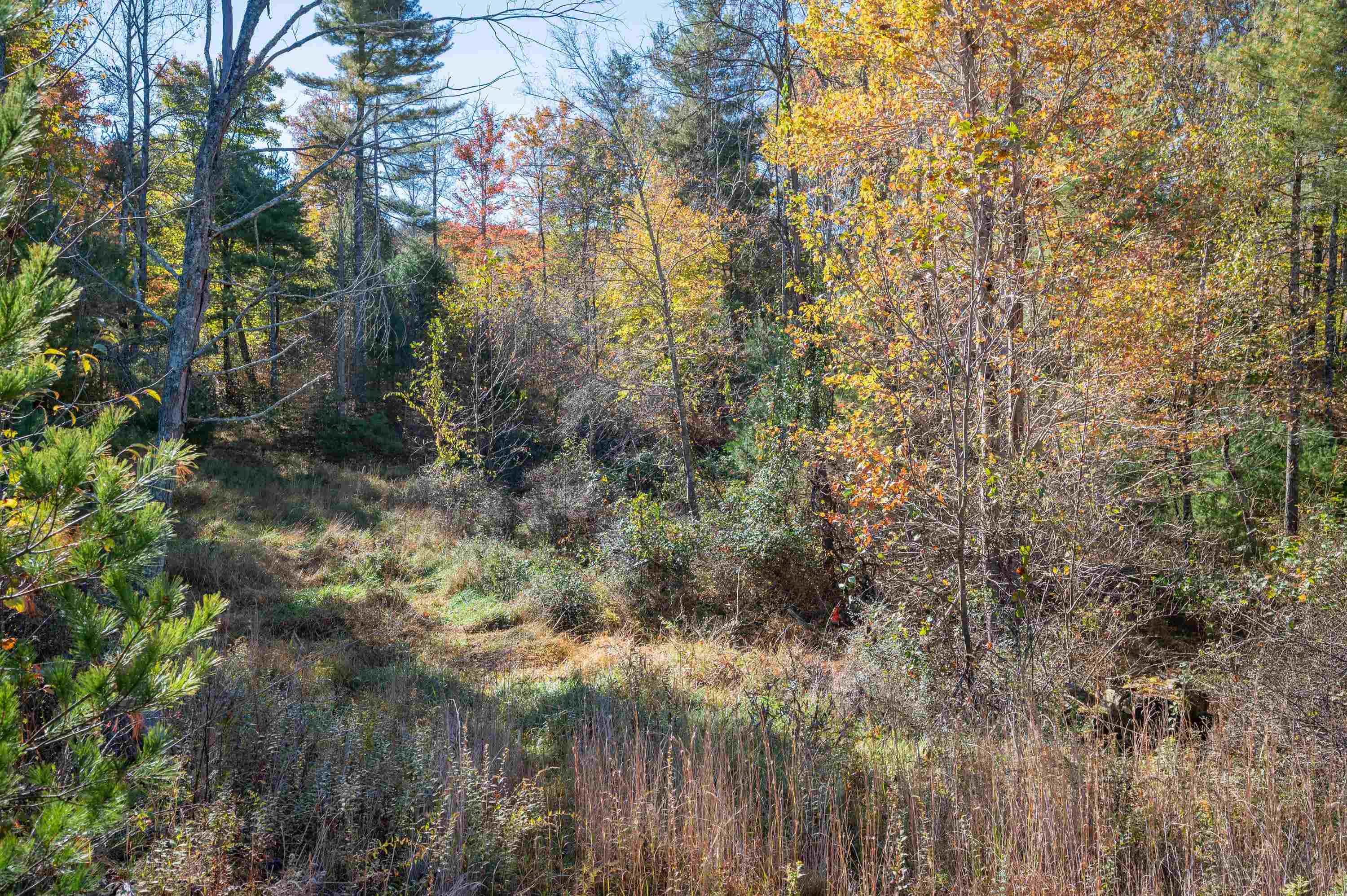 0 Barberry Road SE Floyd VA 24091