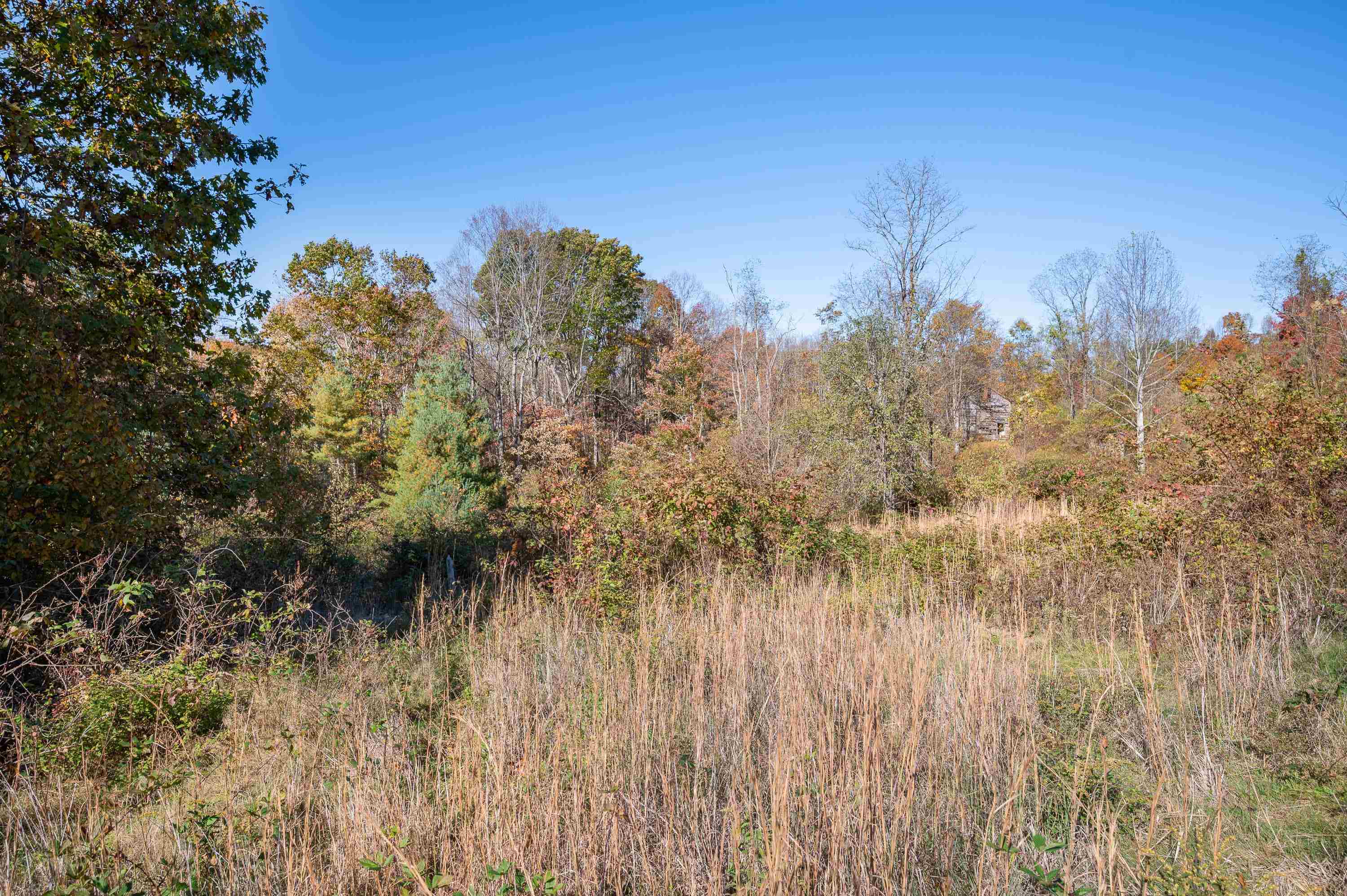 0 Barberry Road SE Floyd VA 24091