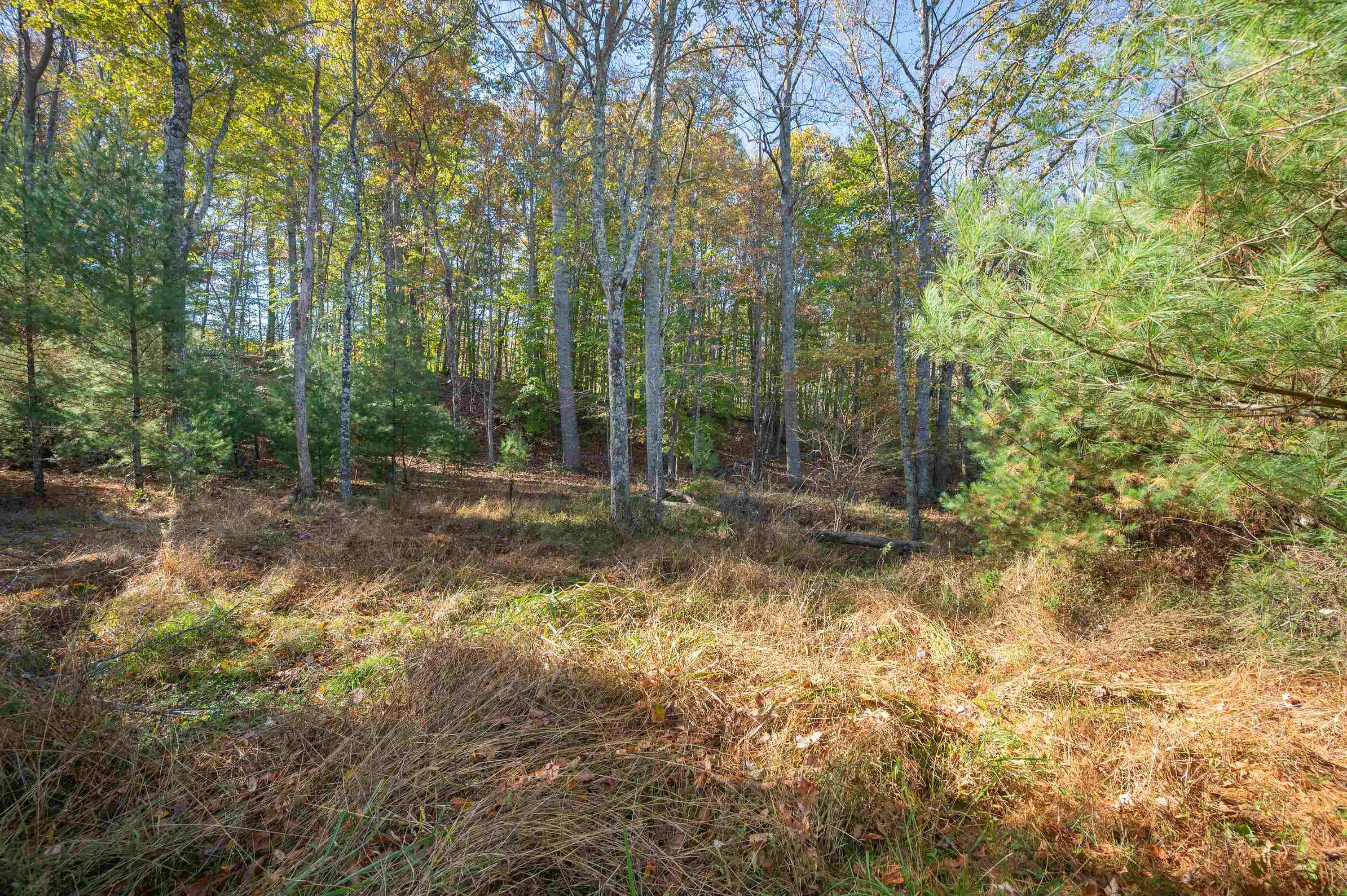 0 Barberry Road SE Floyd VA 24091