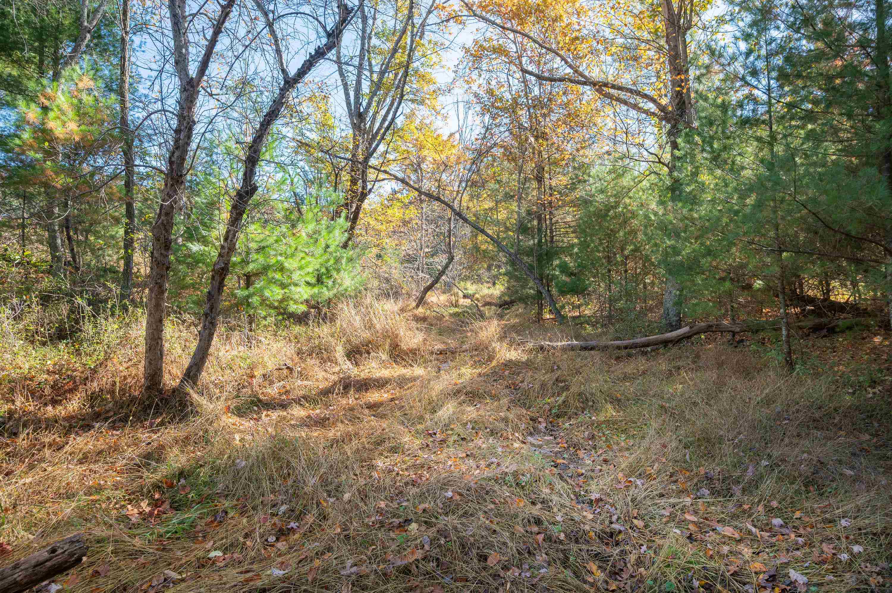 0 Barberry Road SE Floyd VA 24091