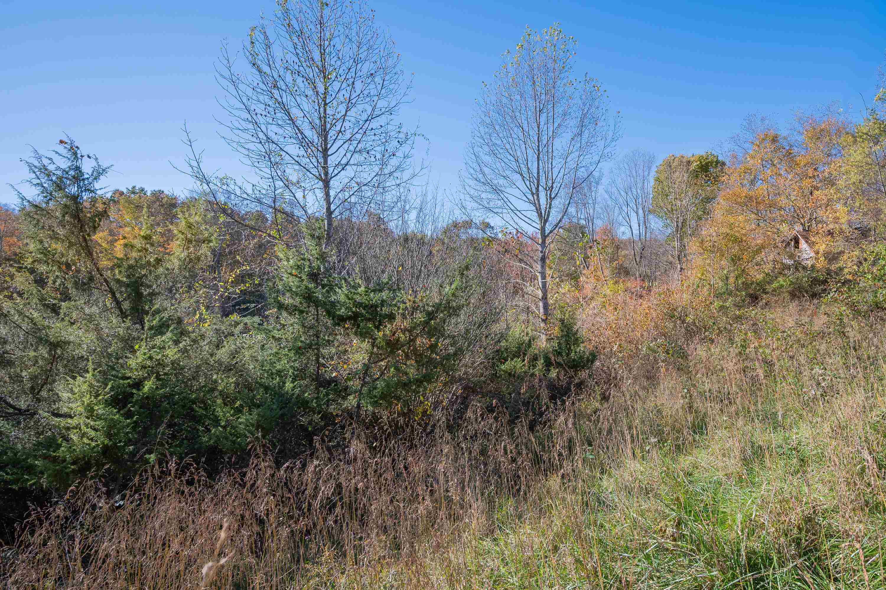 0 Barberry Road SE Floyd VA 24091
