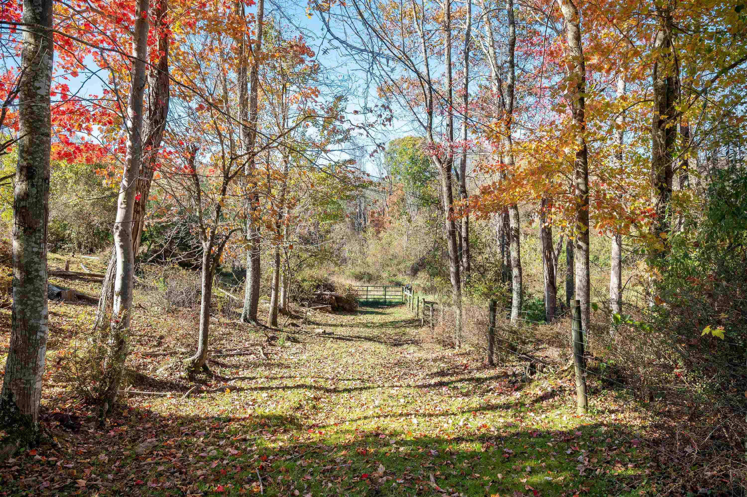 0 Barberry Road SE Floyd VA 24091